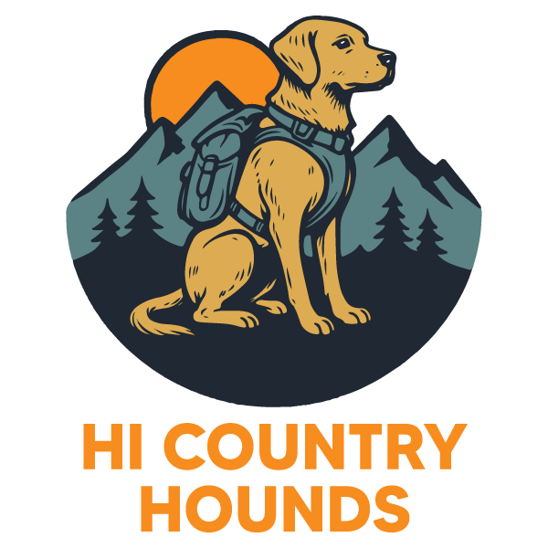 Dog Hiking &amp; Dog Walking in Evergreen, CO | Hi Country Hounds
