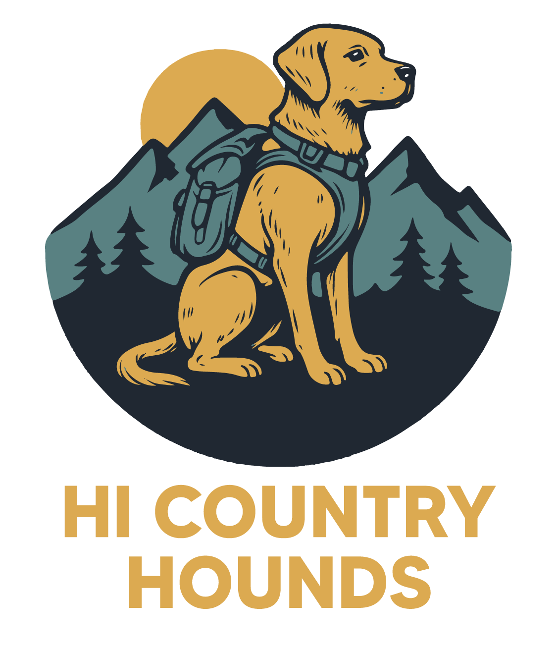 Hi Country Hounds dog hiking and dog walking in Evergreen and Conifer Colorado