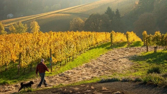 Tasting the Wines of the Willamette