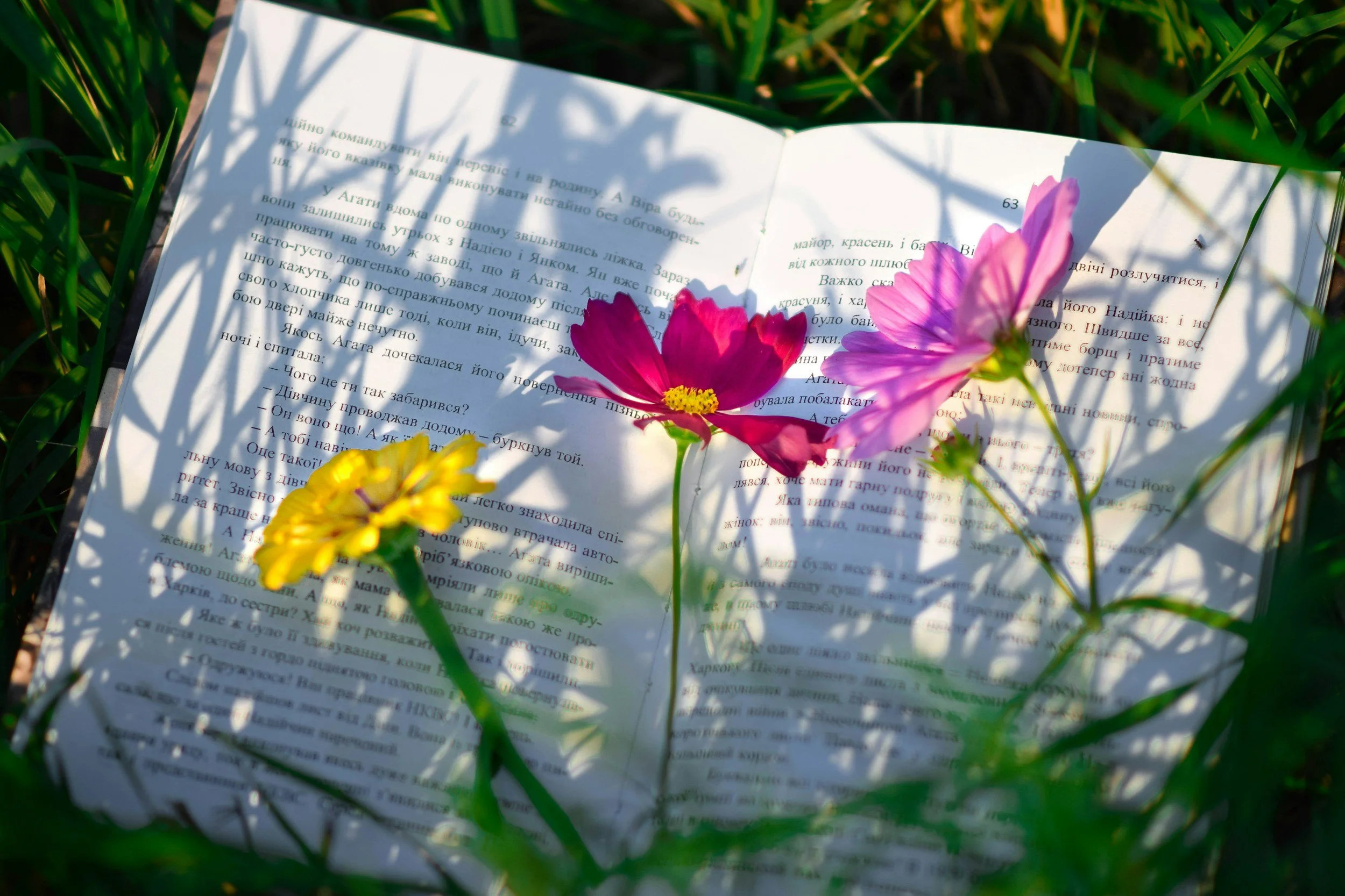 Open Ukrainian-language book surrounded by colorful wildflowers and grass in sunlight