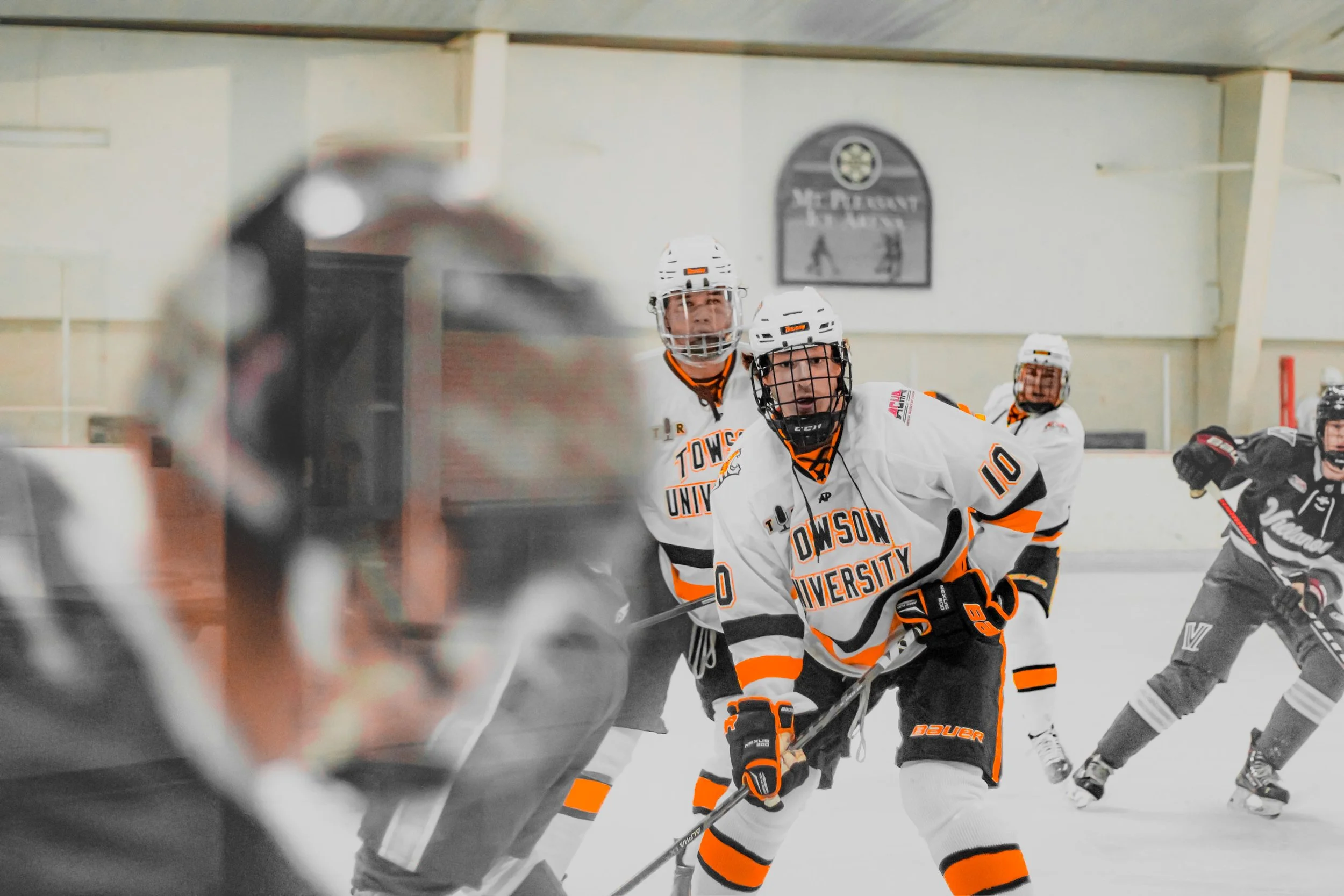 IMG_8568.JPG (1).jpg