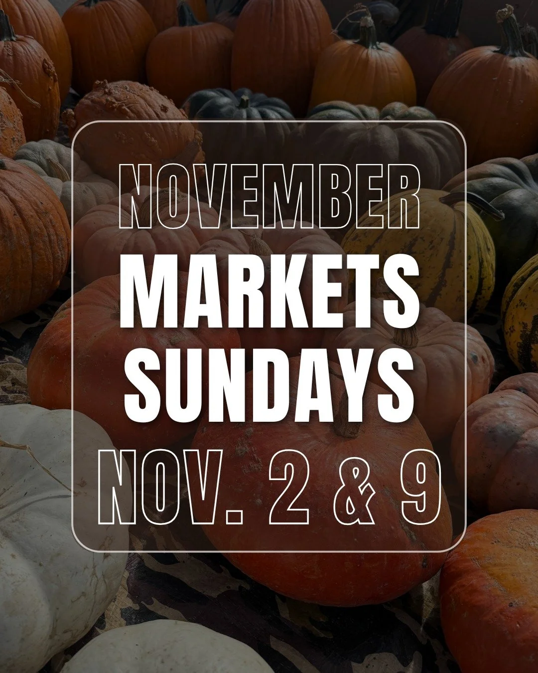 The last markets of the season are coming up on November 2nd & November 9th! 
What's there? Tons of fresh produce and amazing items including but not limited to....
Peppers (fresh and roasted), herbs, okra, tomatoes, popcorn, beef, pork, bison,