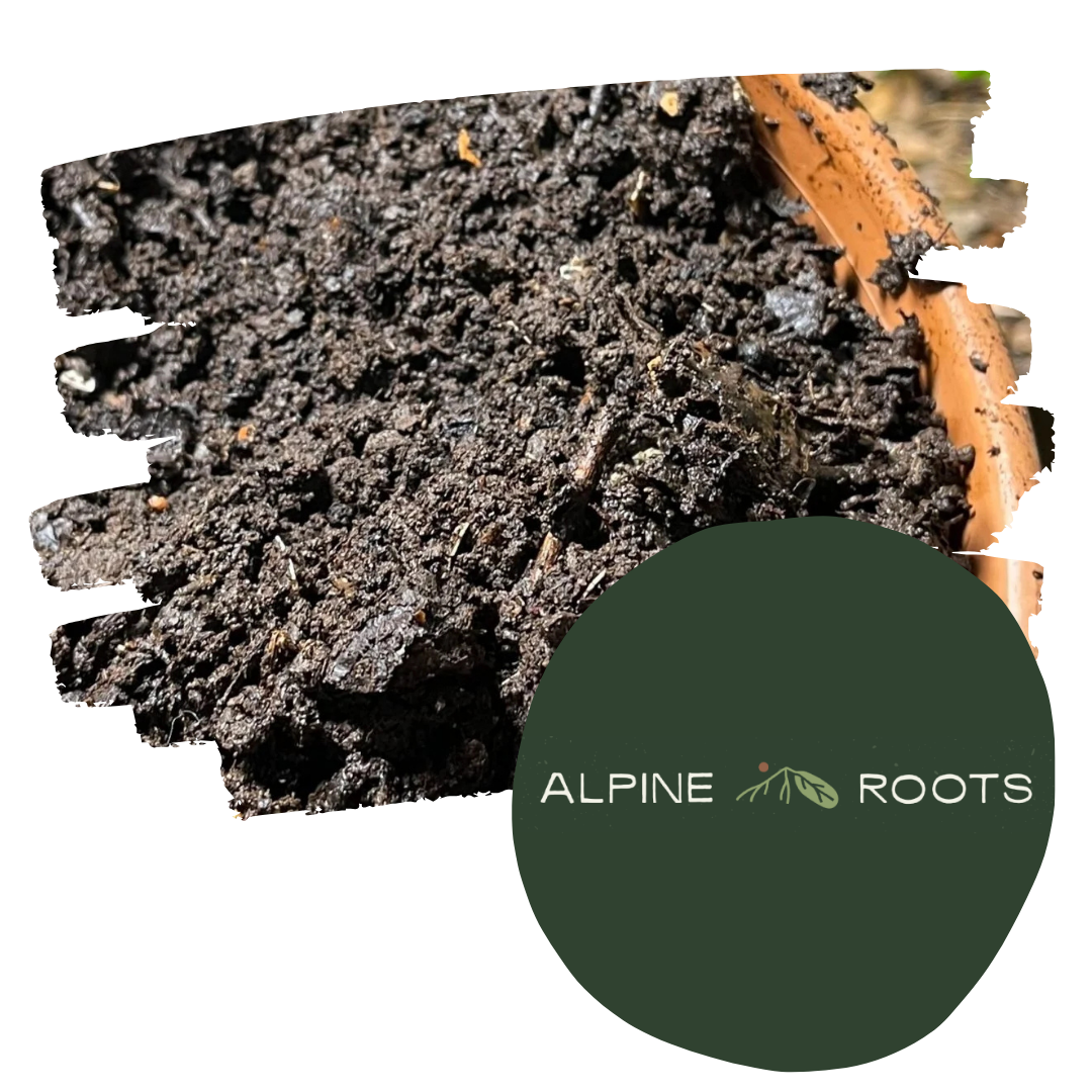 Alpine Roots