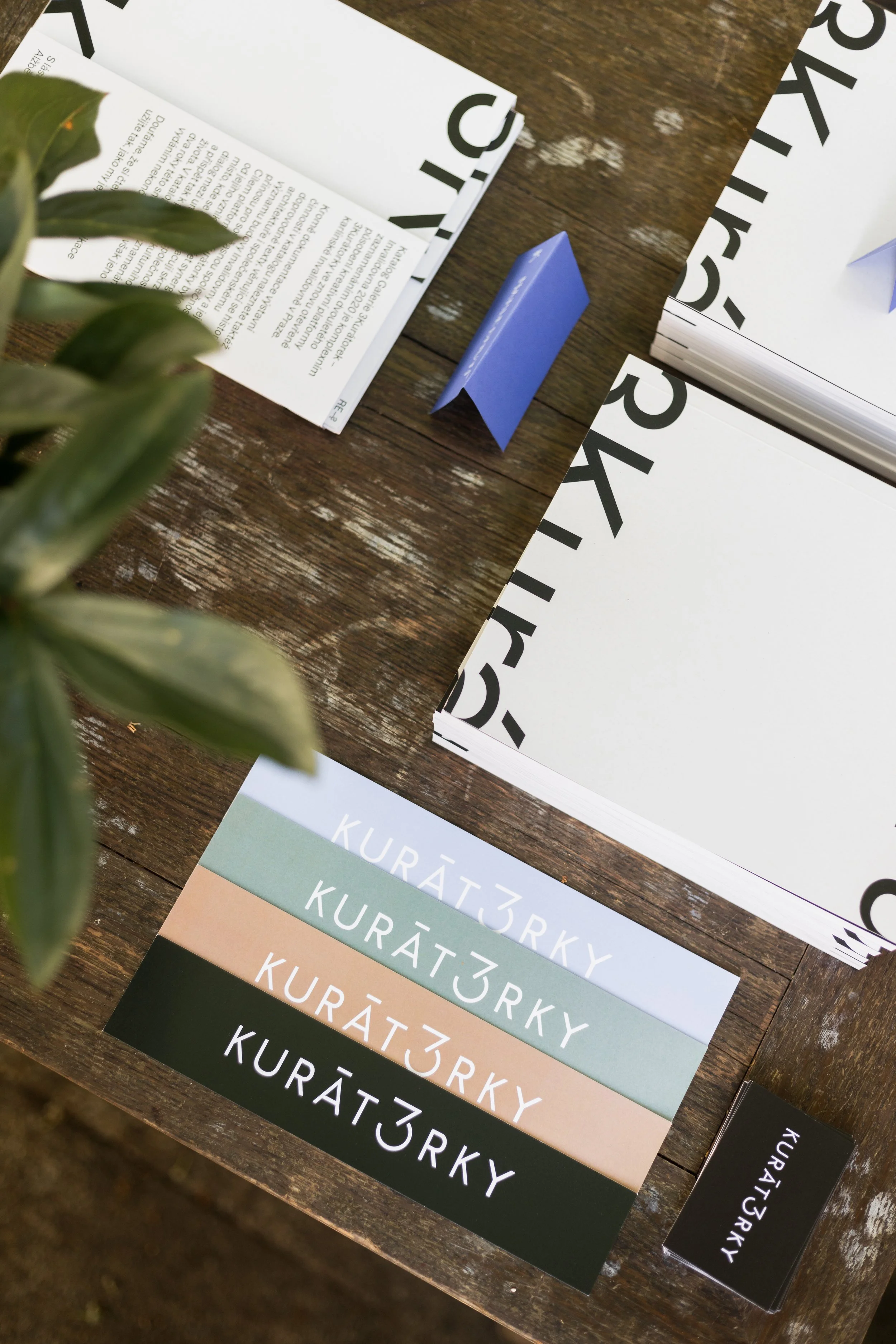 Focení eventu - křtu katalogu projektu 3 Kurátorky v kavárně Anežka v Praze v Anežském klášteře.