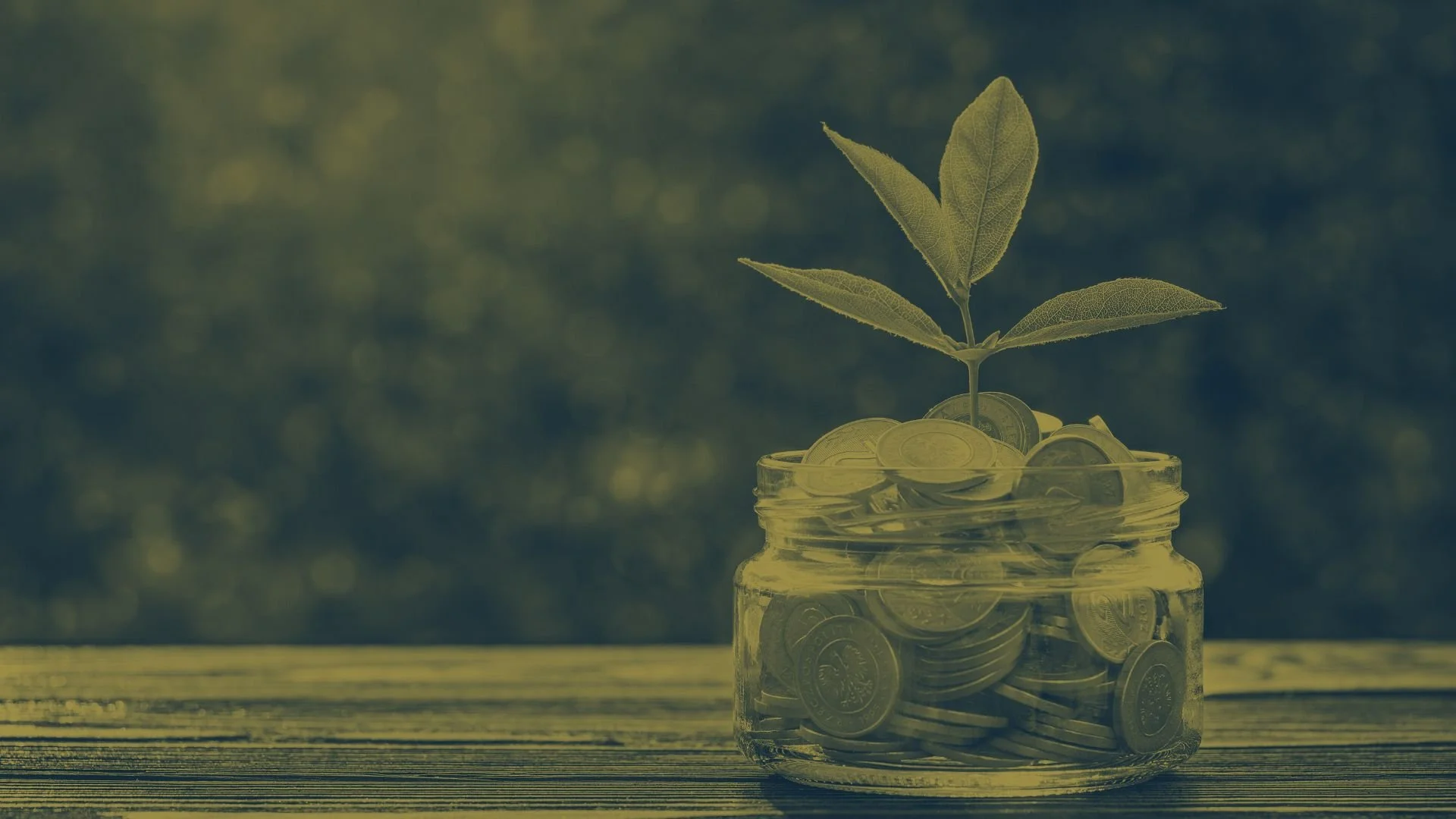 An Analysis of Universal Life Insurance and the Infinite Banking Concept