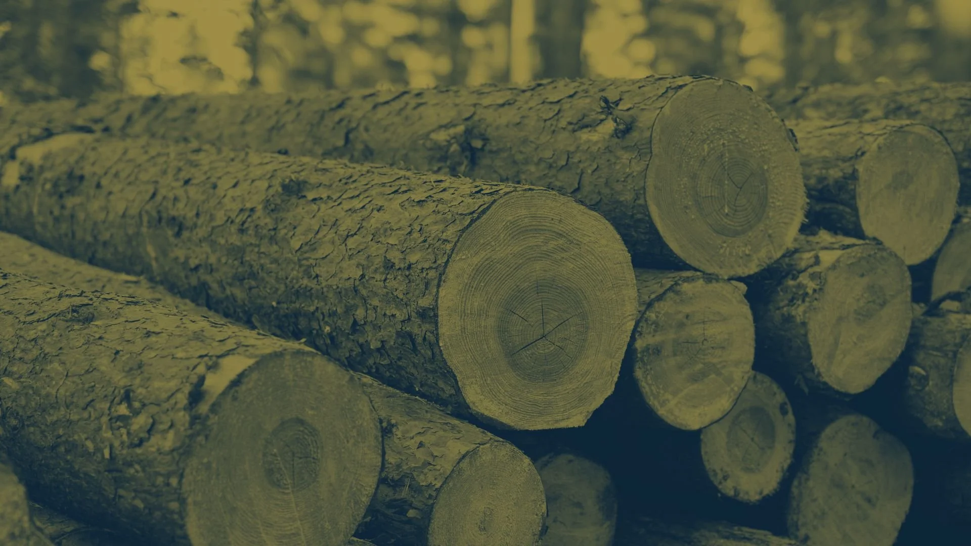 How a Logger’s Truck Payments Uncover a Secret Path to Wealth 