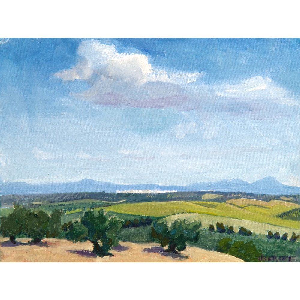 Olive Country, Montoro, Spain