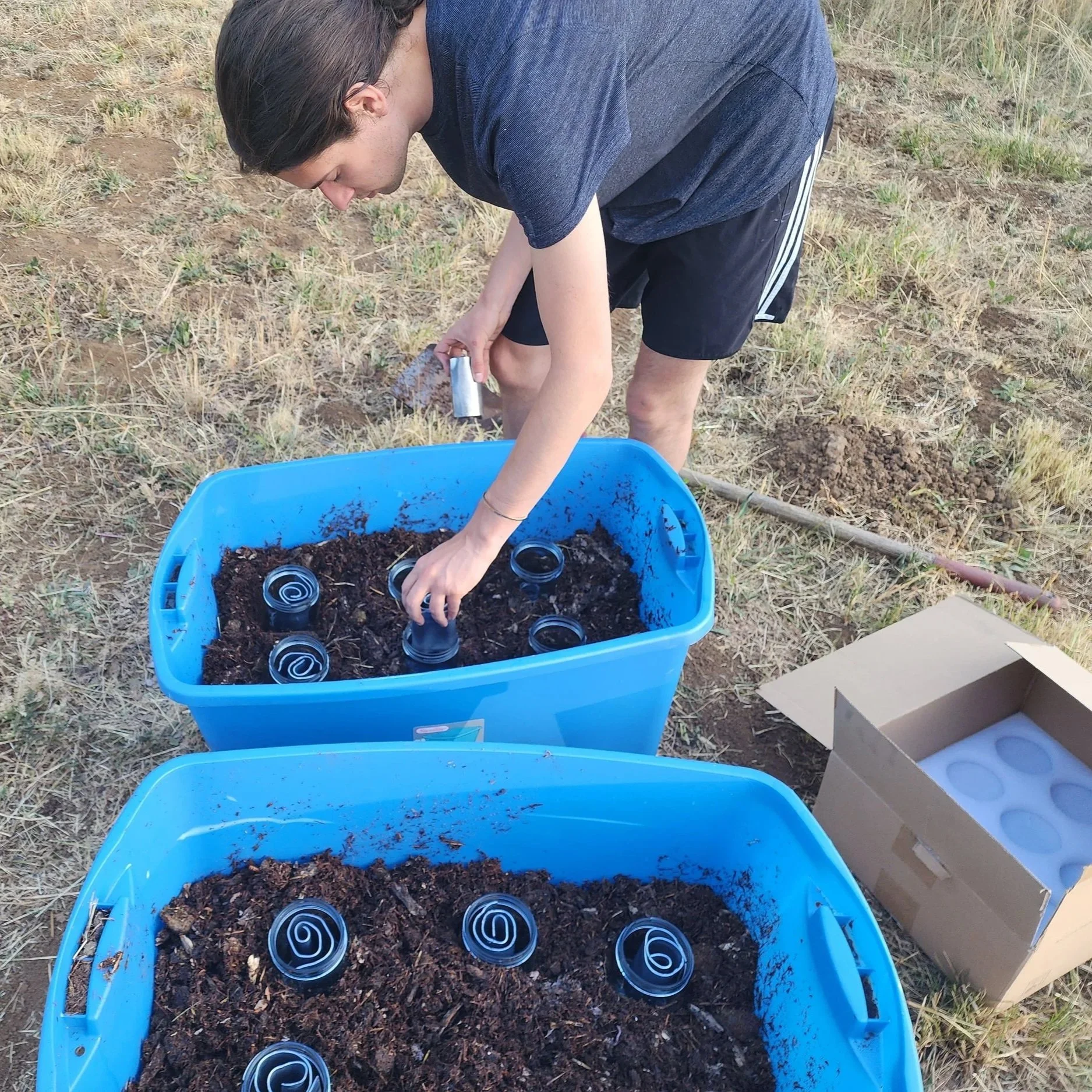 dutch stack method lead white using horse manure and lead coils.