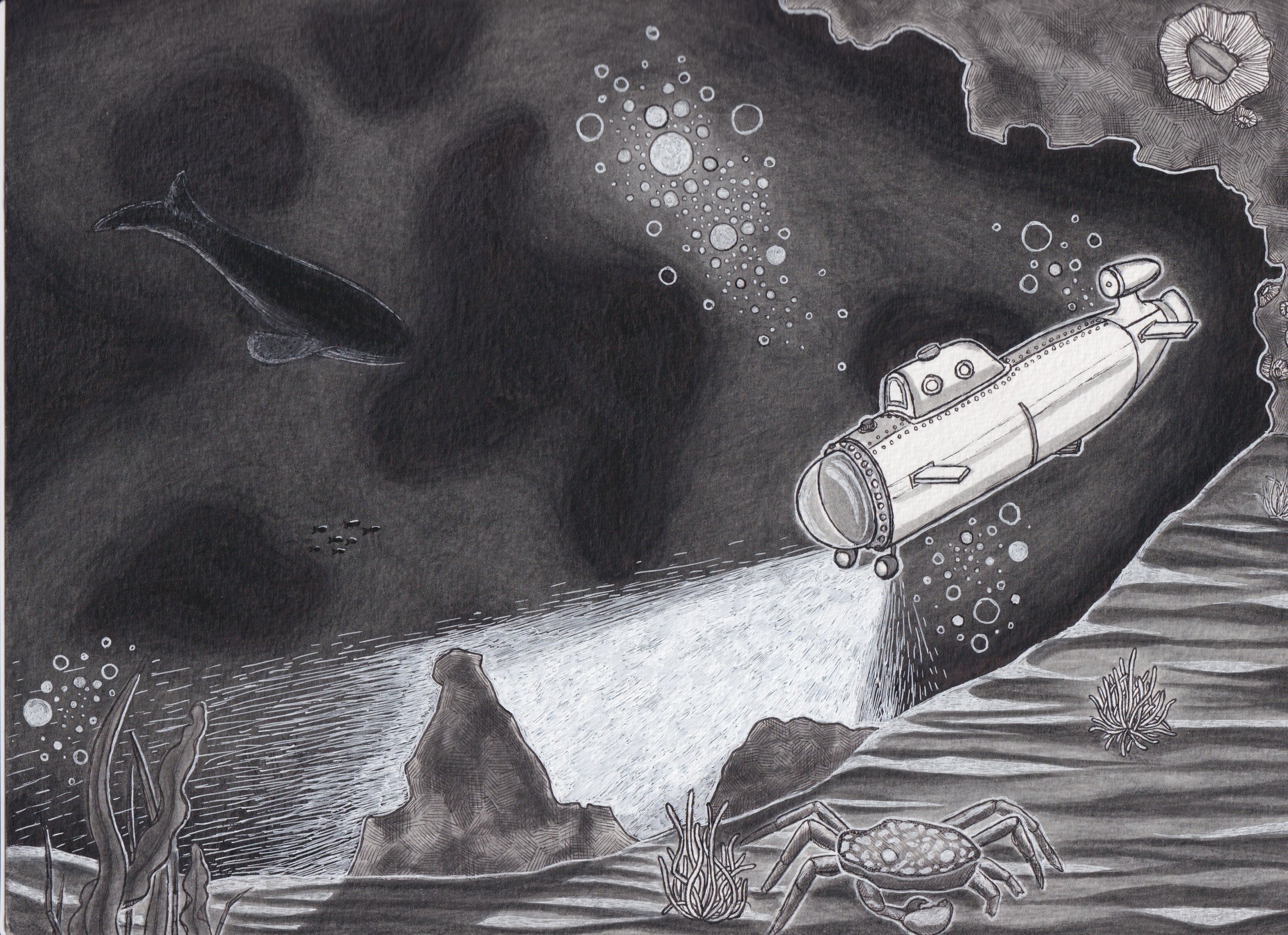 Submarine