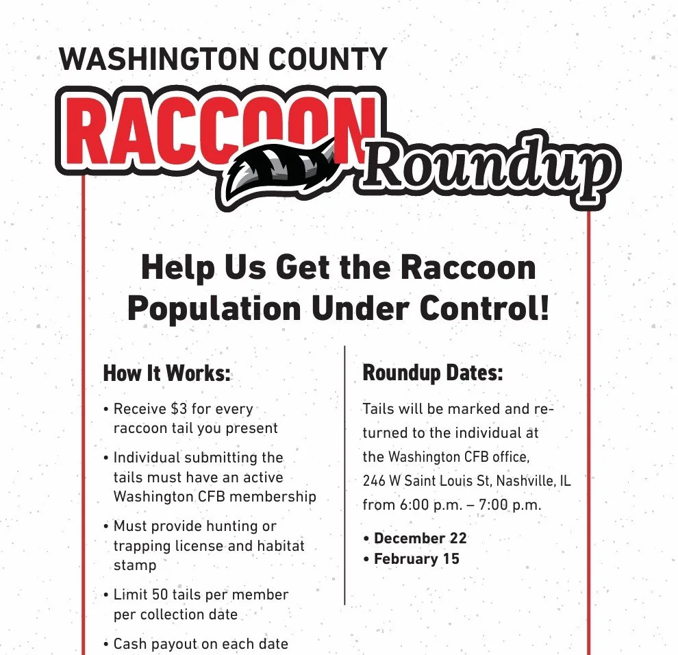 Racoon Roundup
