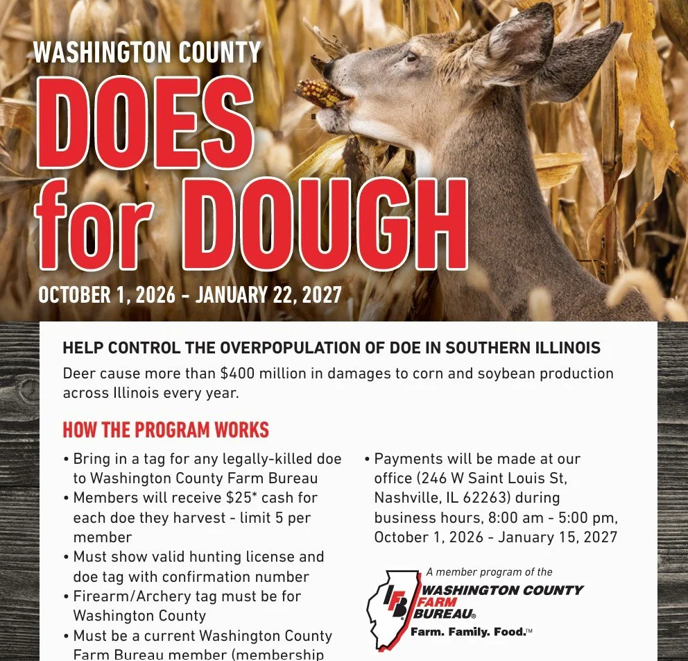Does for Dough