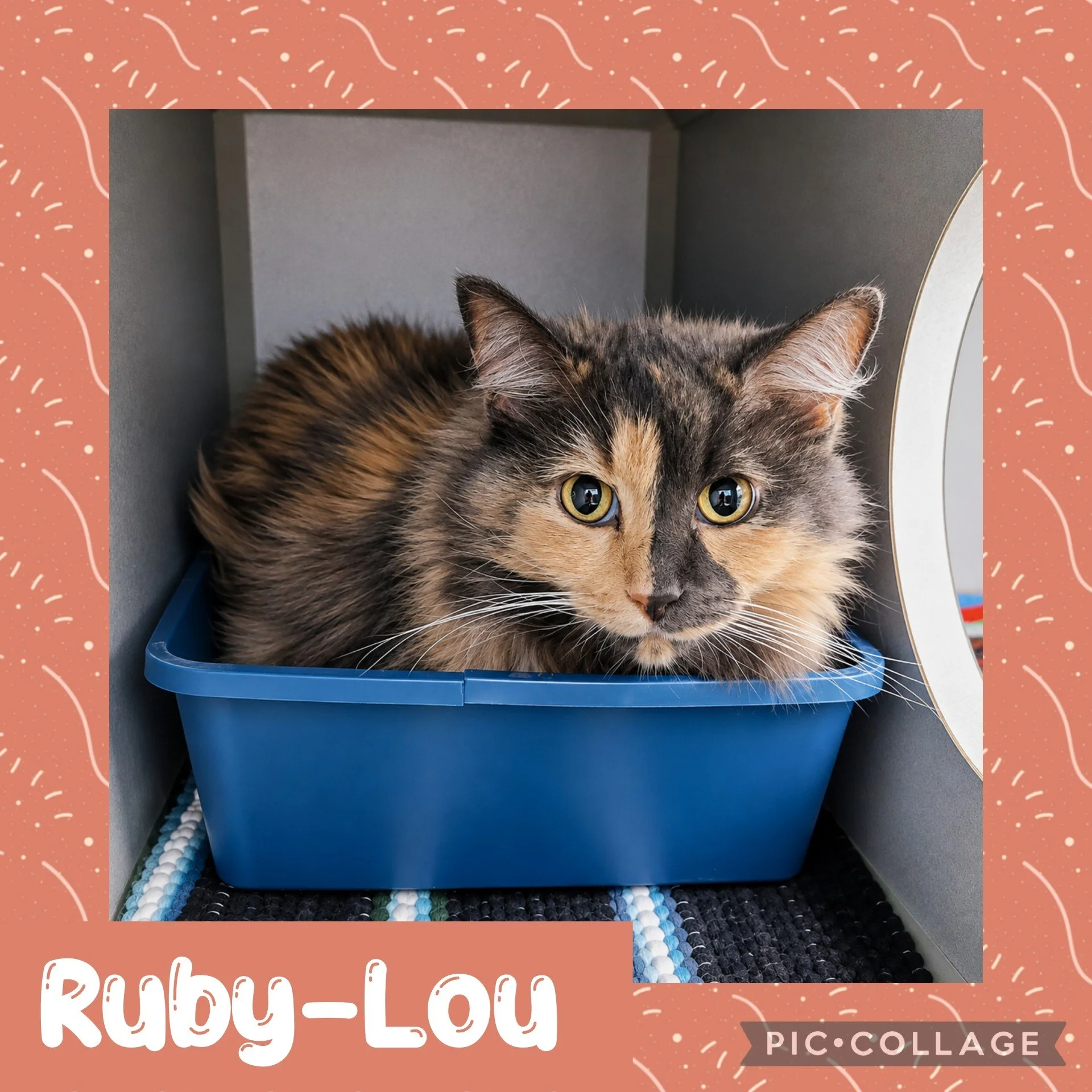 rubylou.jpg