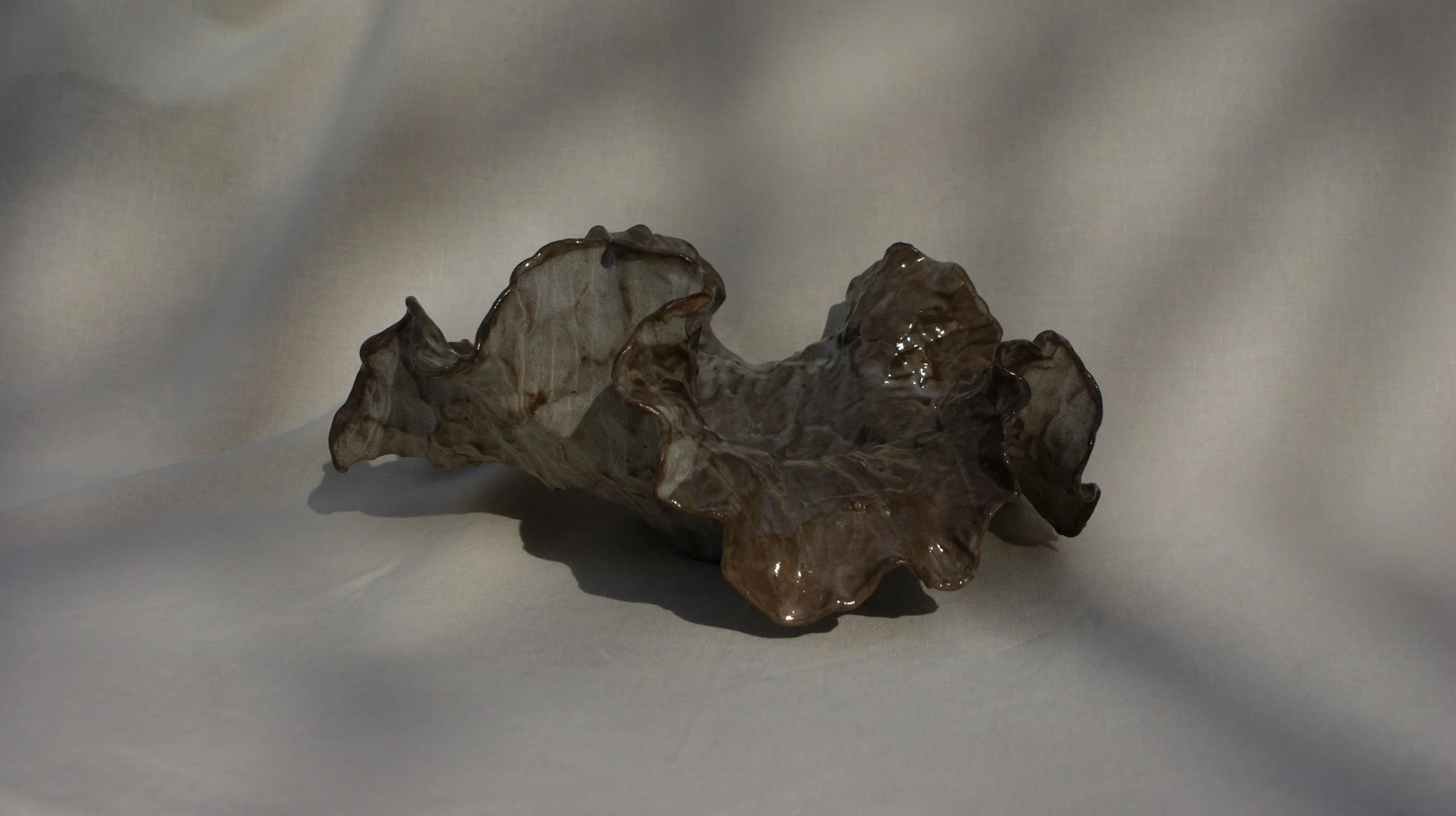 DSC06709 2.jpg