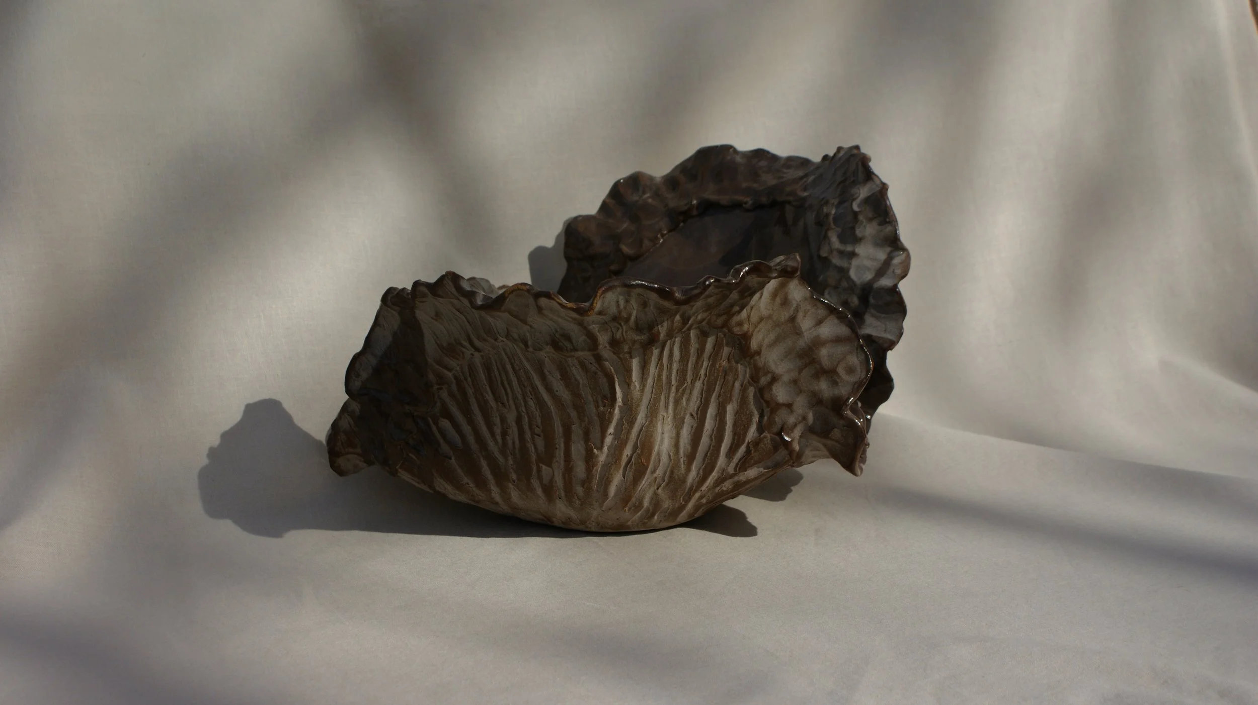 DSC06722.jpg