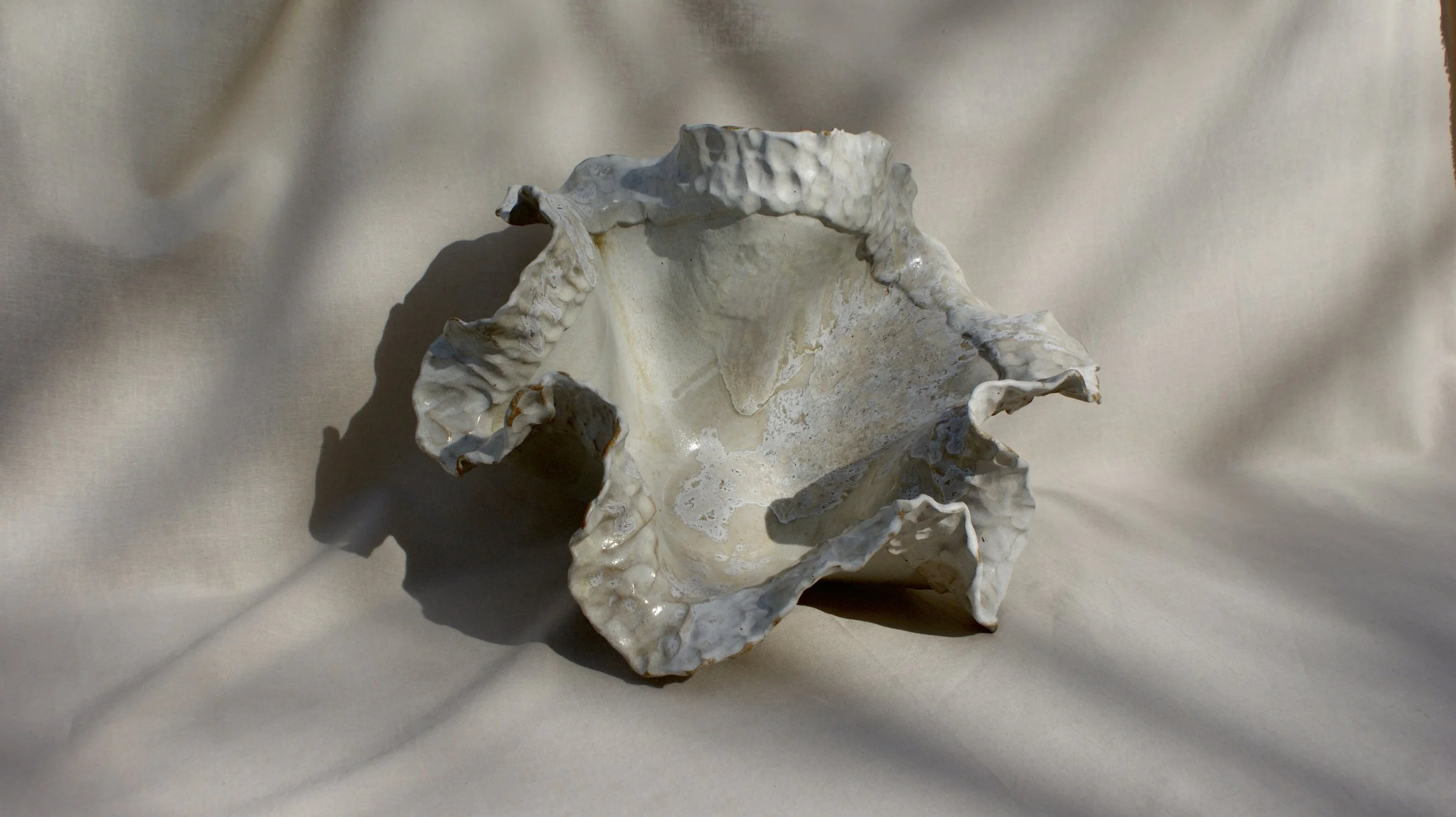 DSC06673.jpg