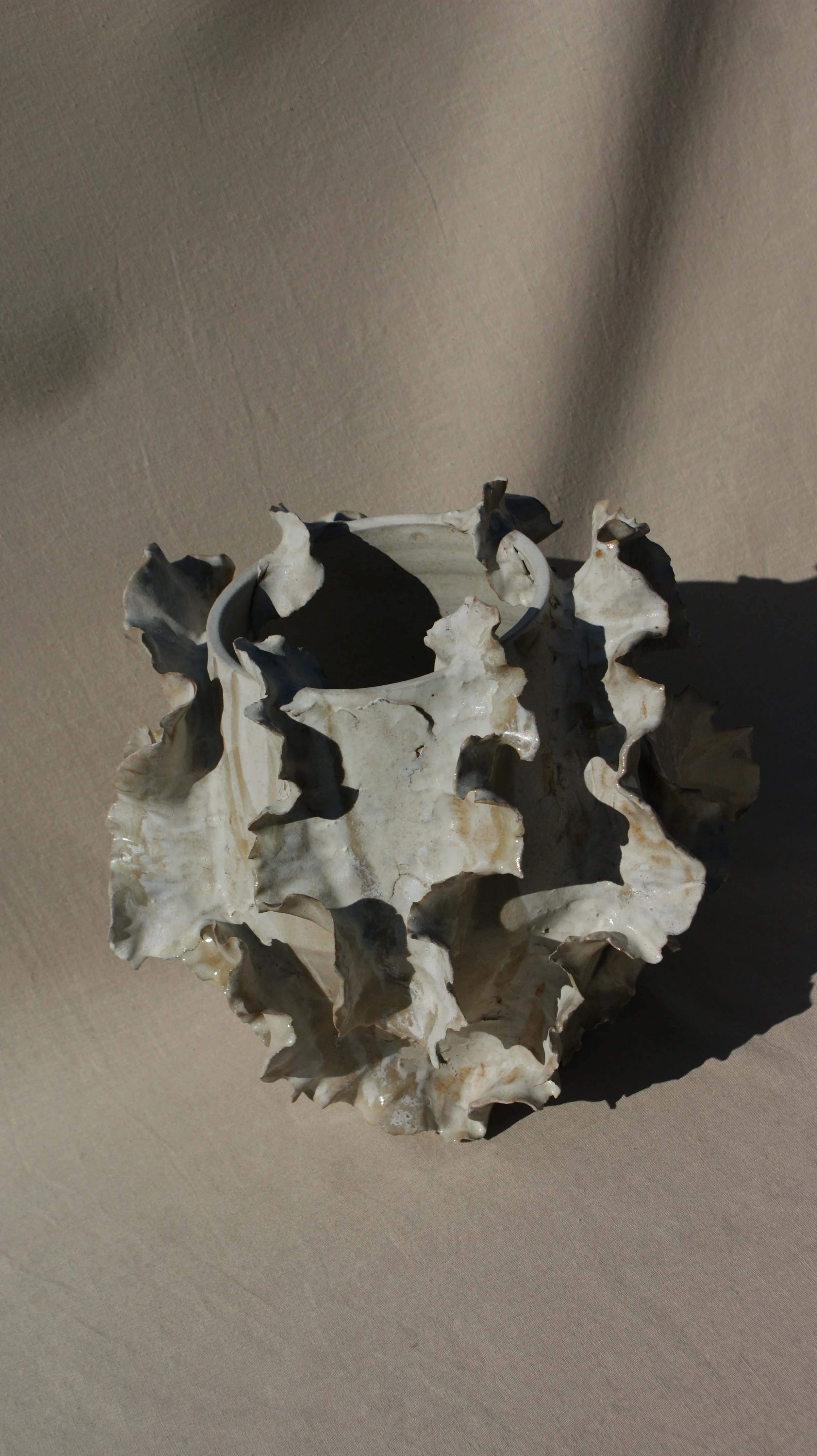 DSC06627 2.JPG