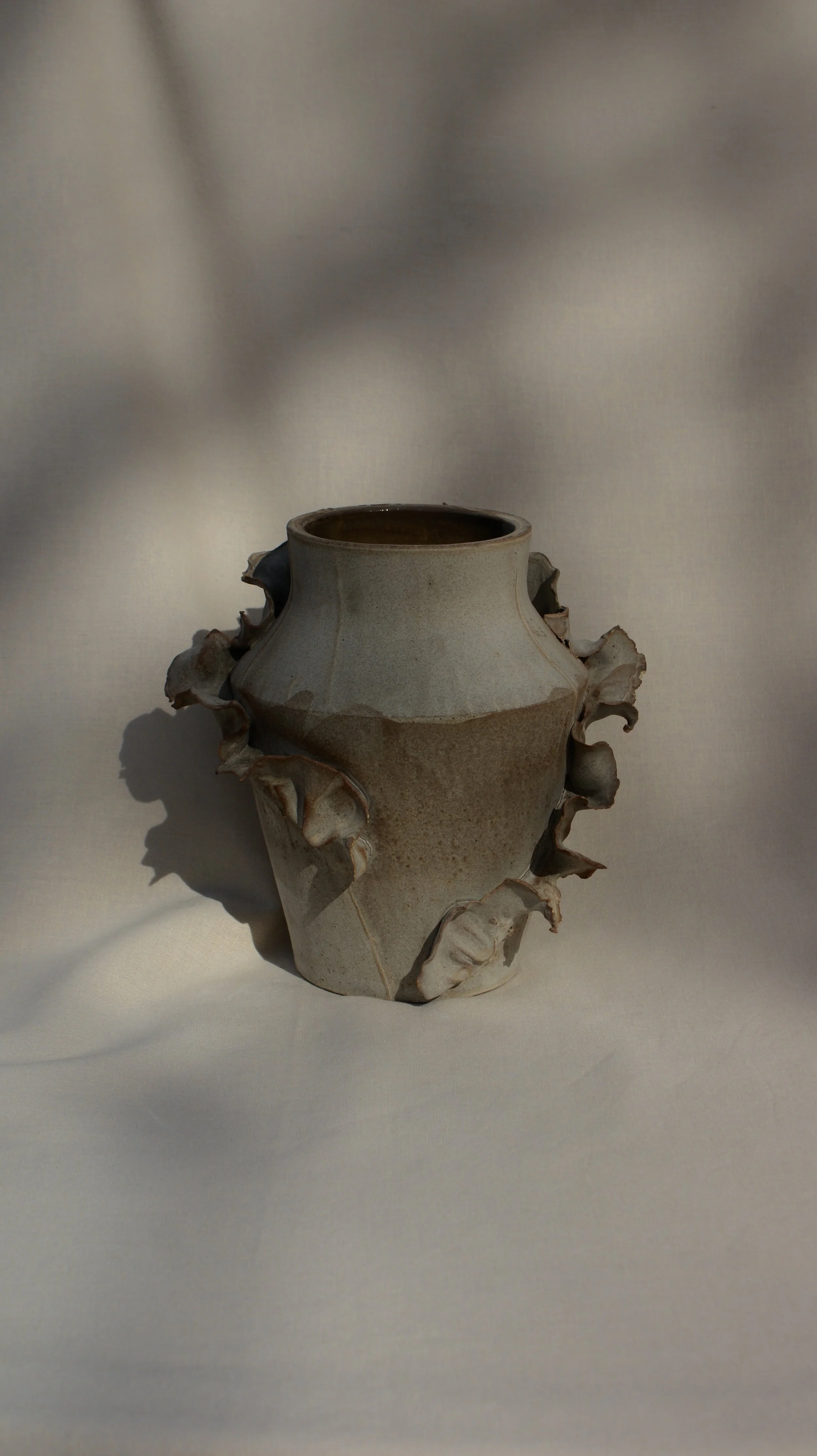 DSC06727.jpg