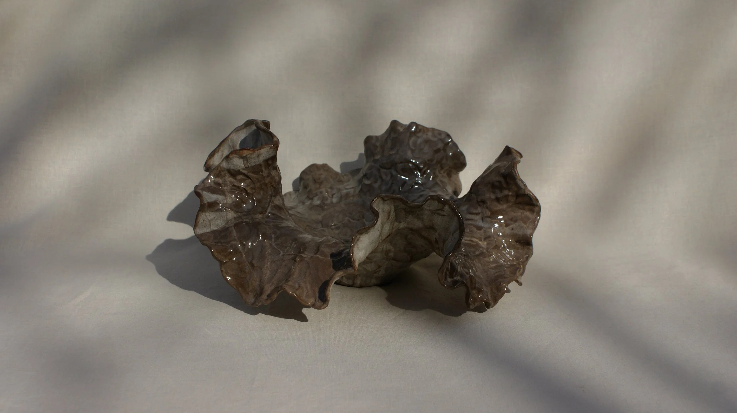 DSC06704 2.jpg