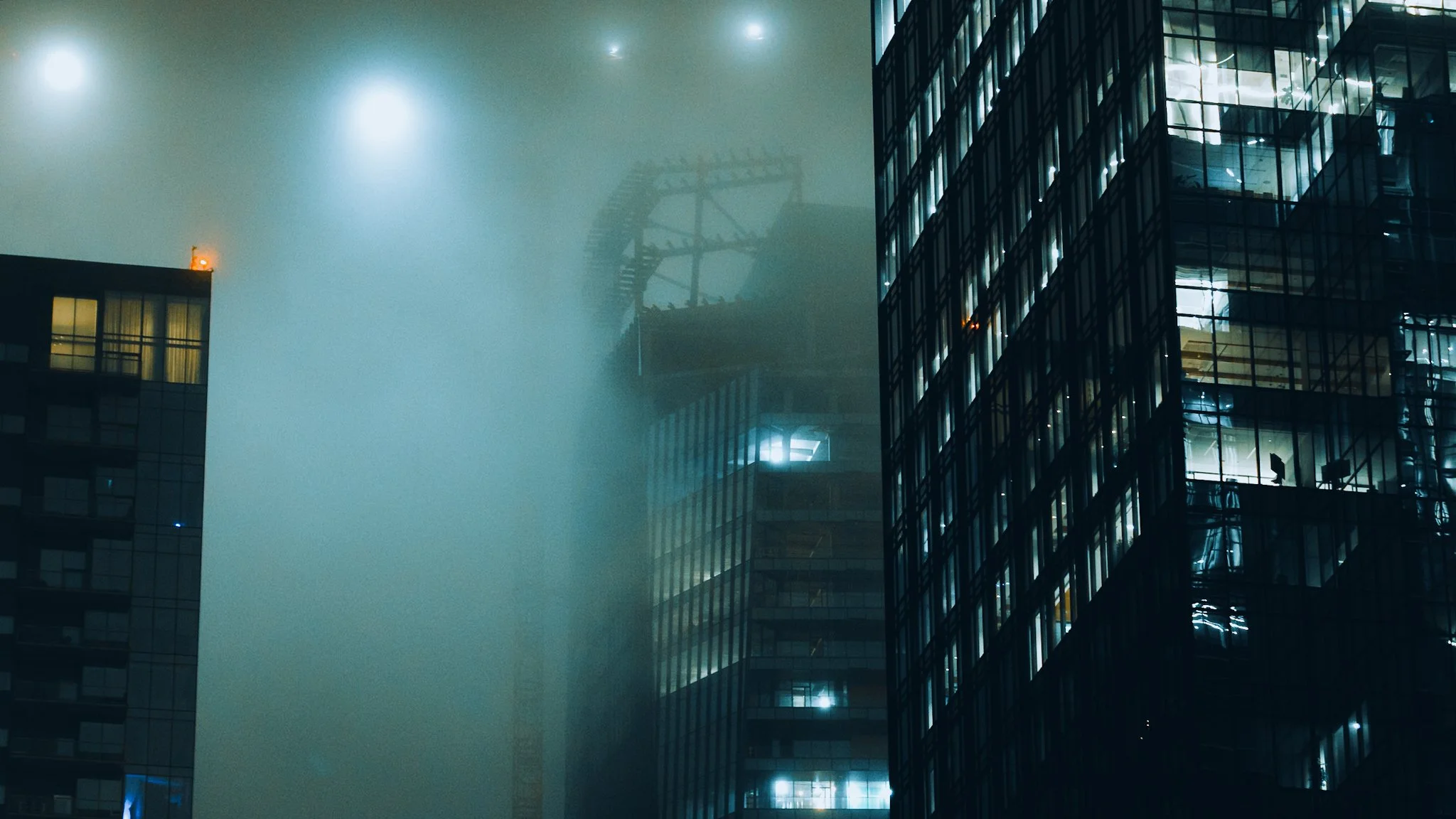 The Elevated Experience