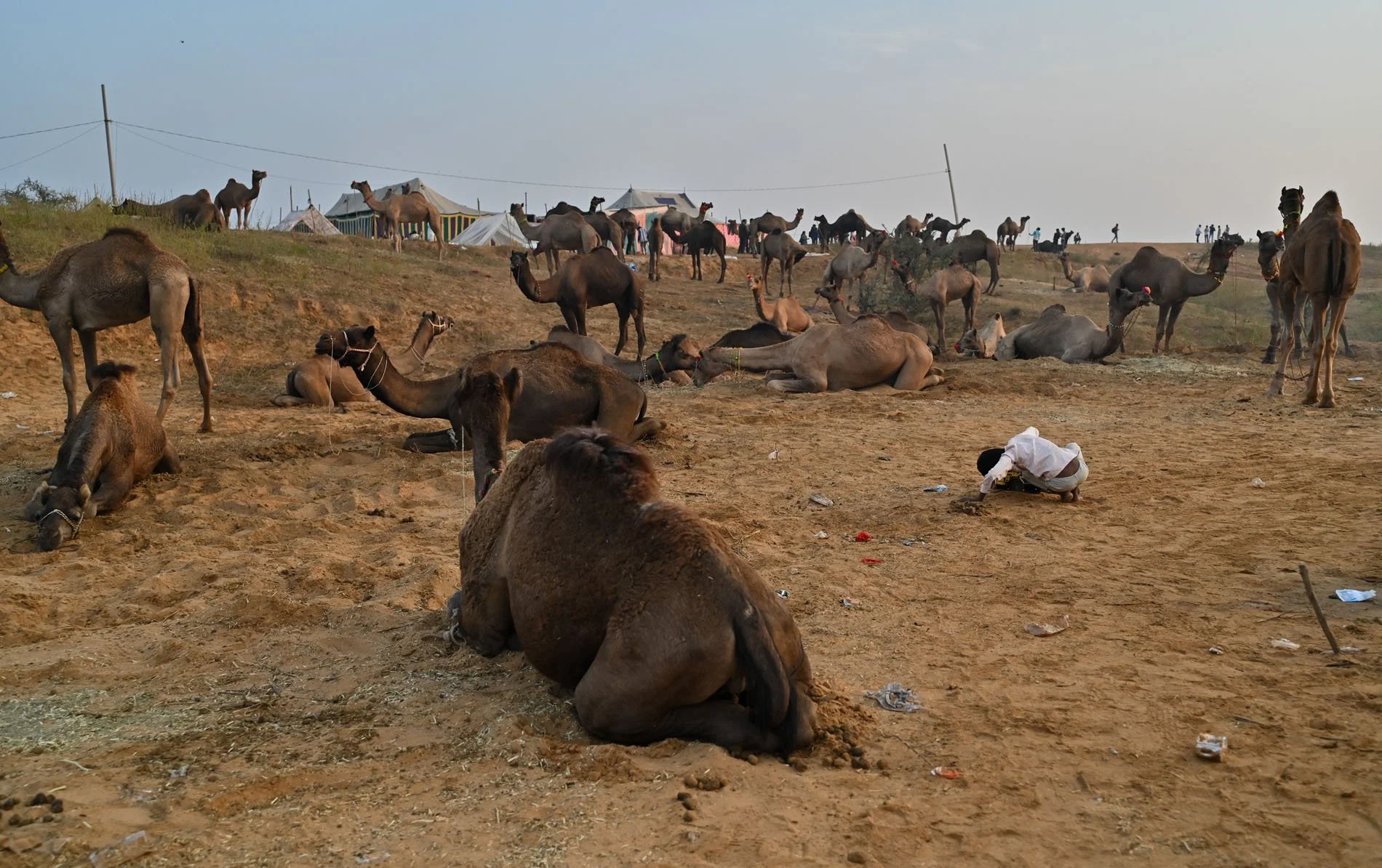 pushkar mela (4).jpg