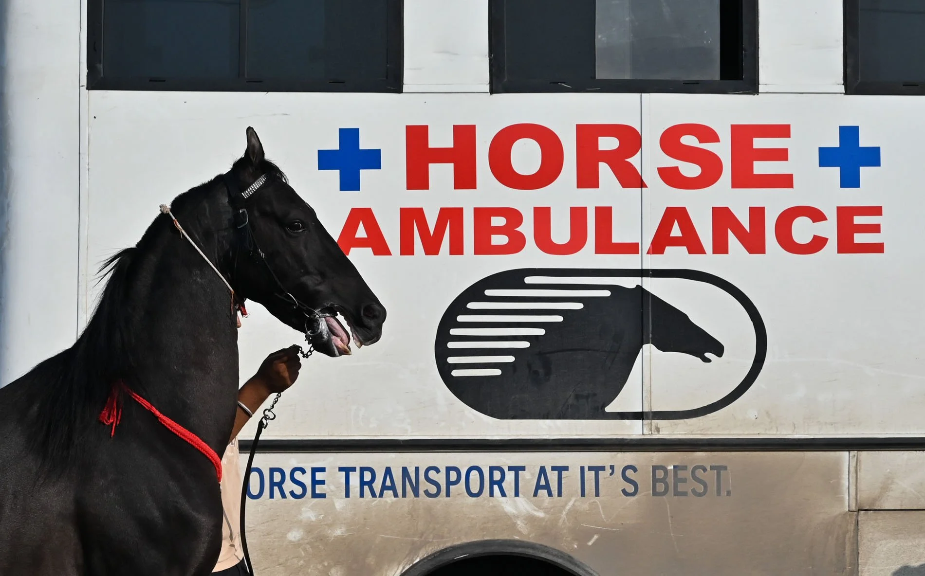 pushkar mela (13).jpg