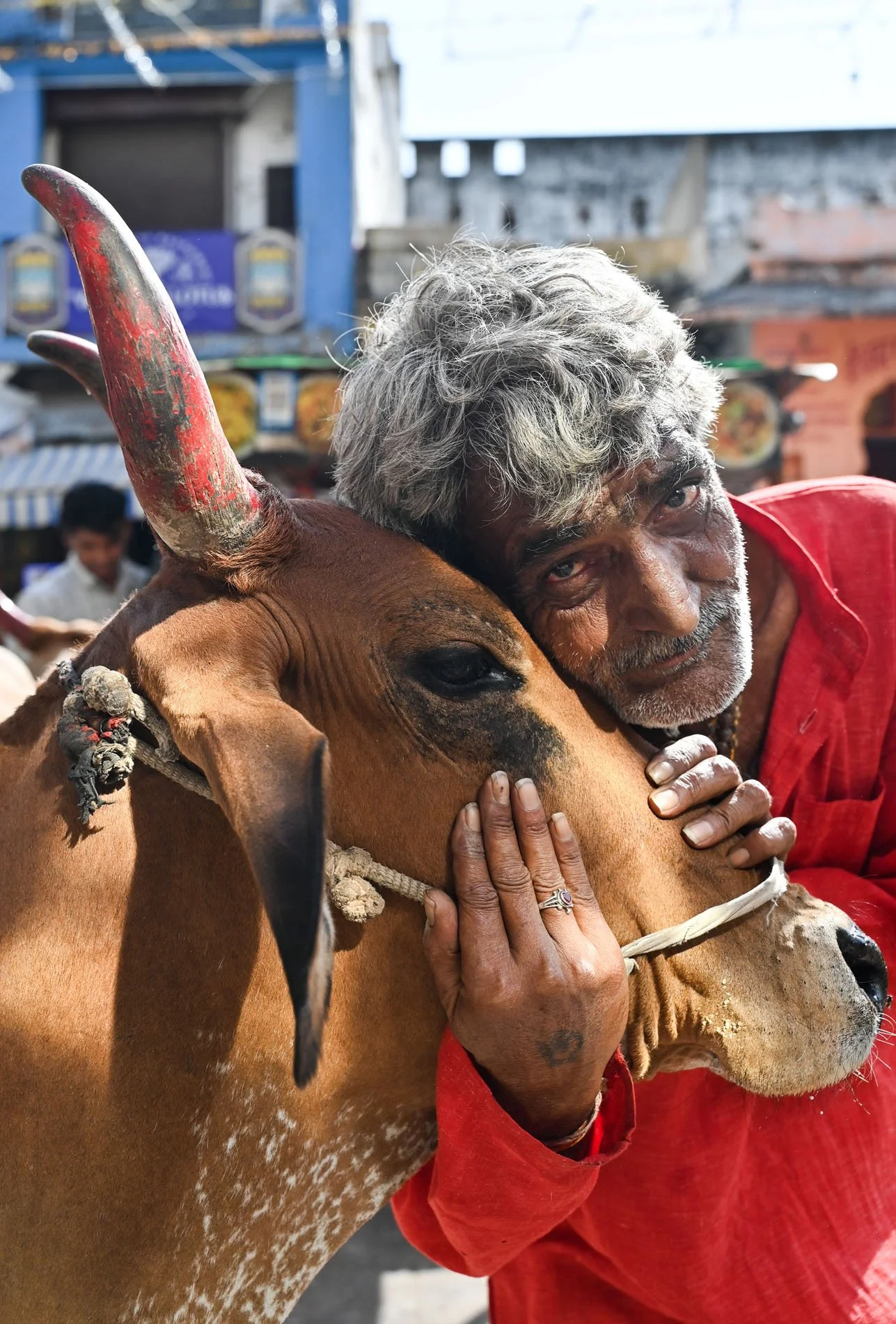pushkar mela (17).jpg
