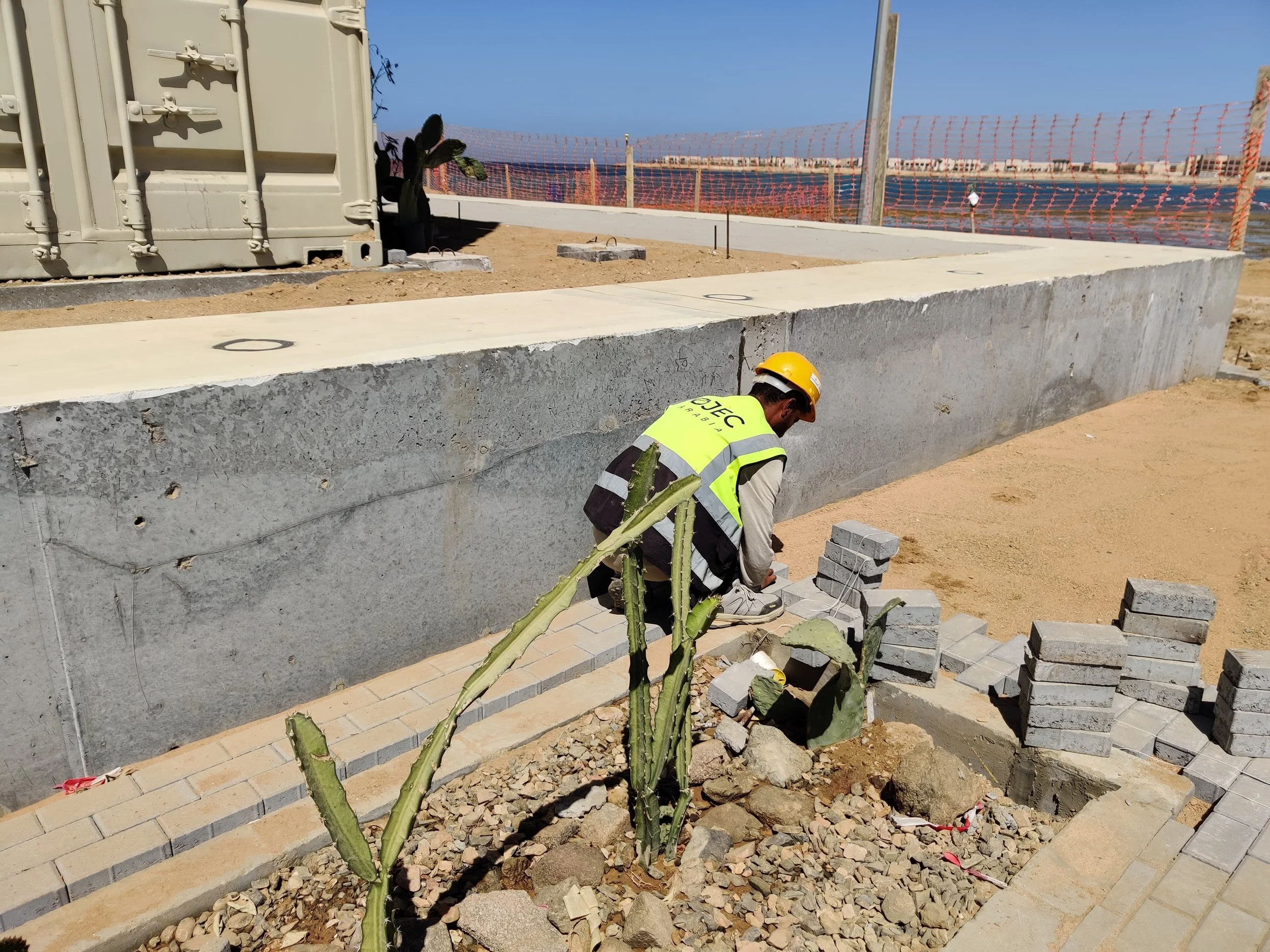 WhatsApp Image 2025-05-10 at 16.16.05_7380fcef.jpg