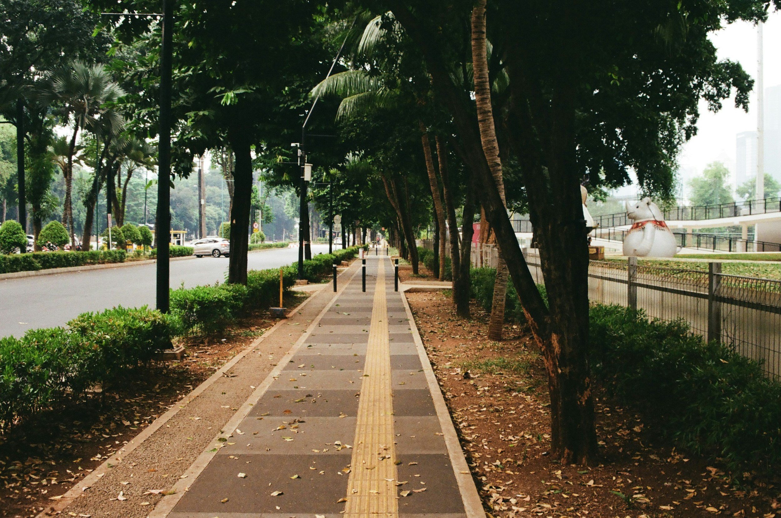 A city sidewalk lined with trees and greenery, with a street and parked cars in the background, under an overcast sky.