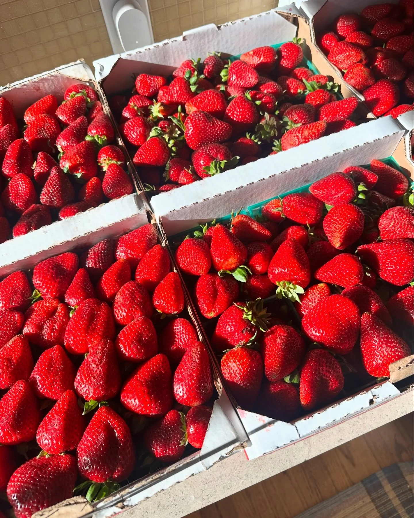 Big day at the market 

#foryourbabe