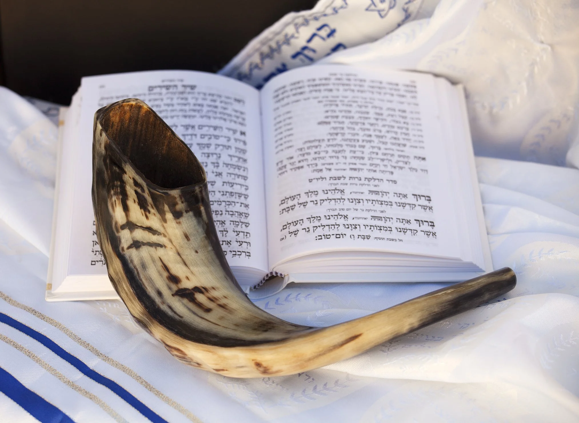 Israel is My Home-Yom Kippur 2026-9/21/2026