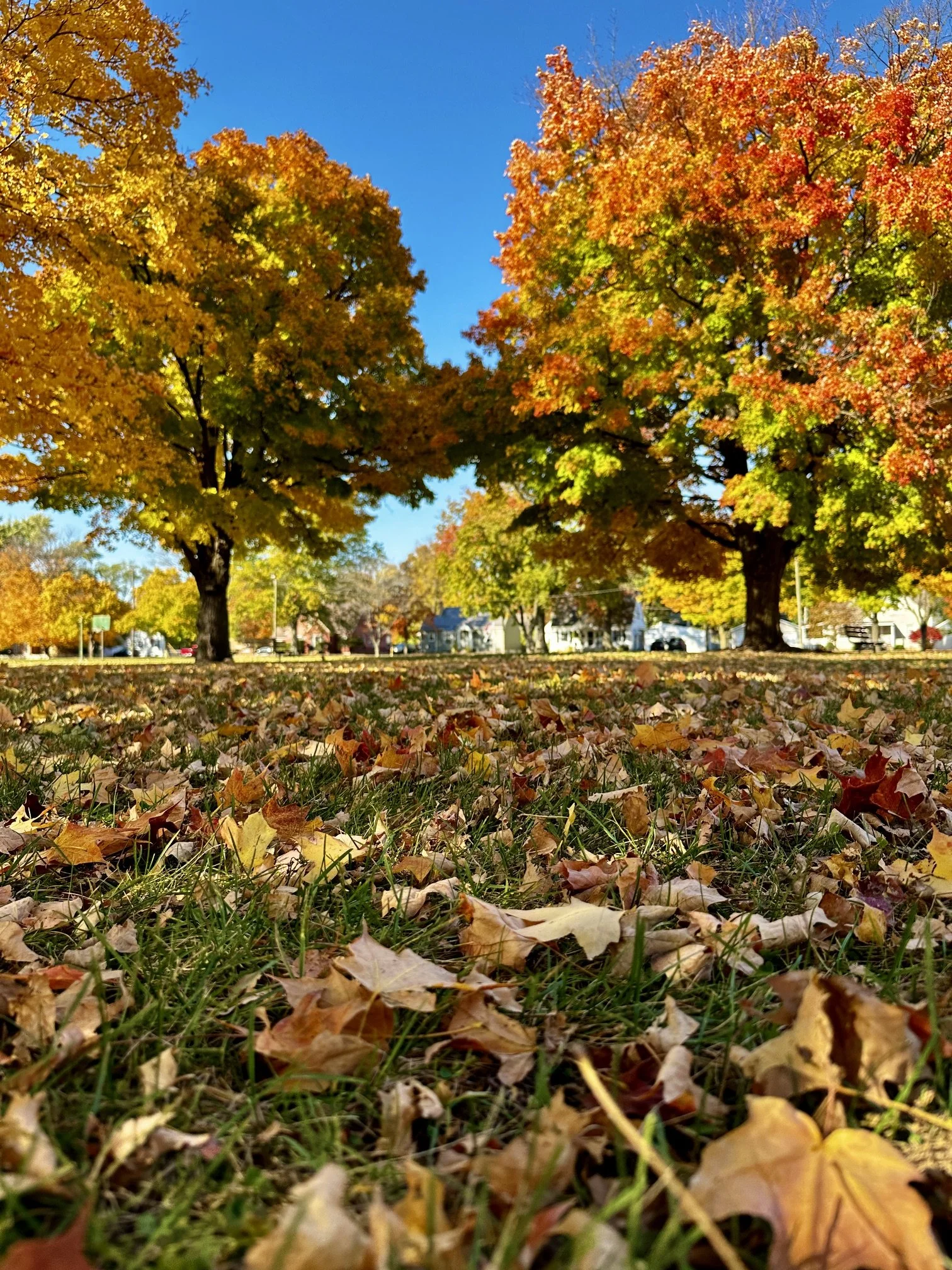 Autumn-Sermon 10/16/26