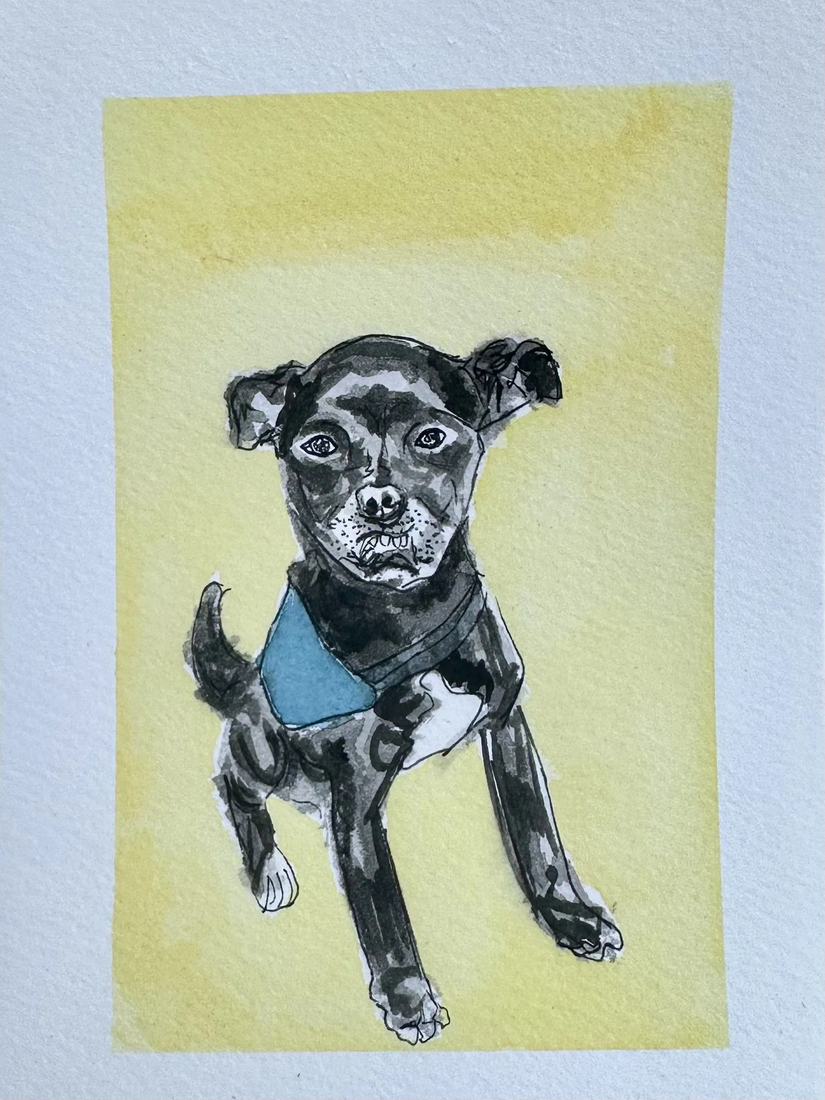 Live Painting Event: 6x4 Watercolour on Paper