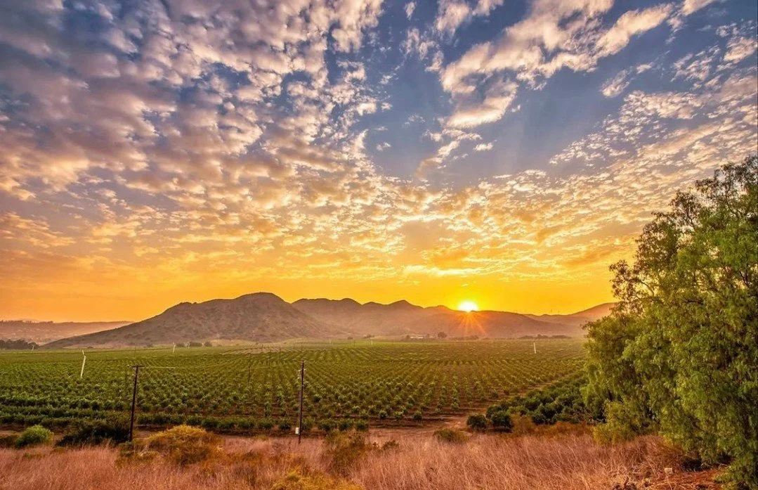 Golden hills above Camarillo, California