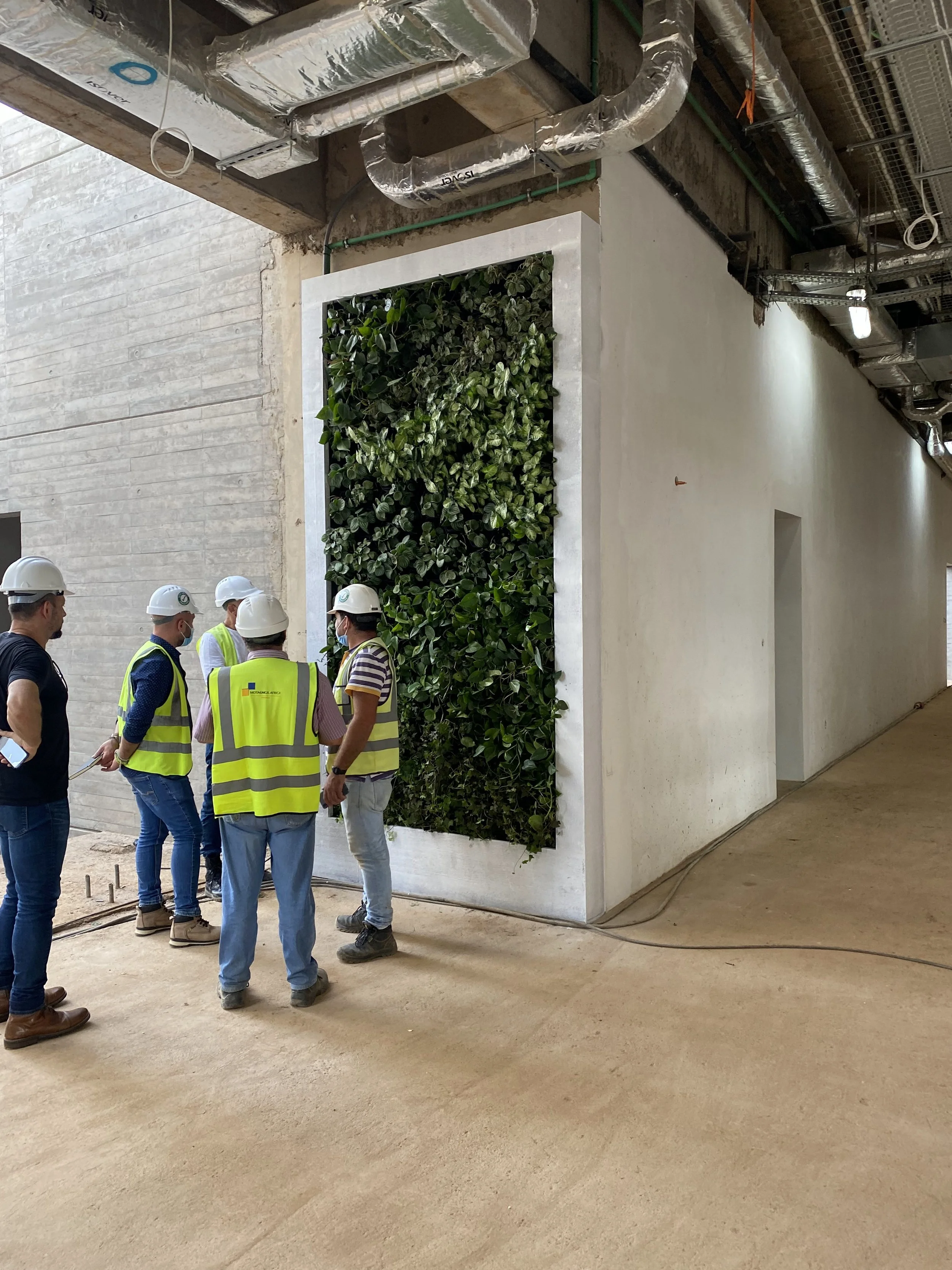 PX_Green_Wall_Mockup.jpg