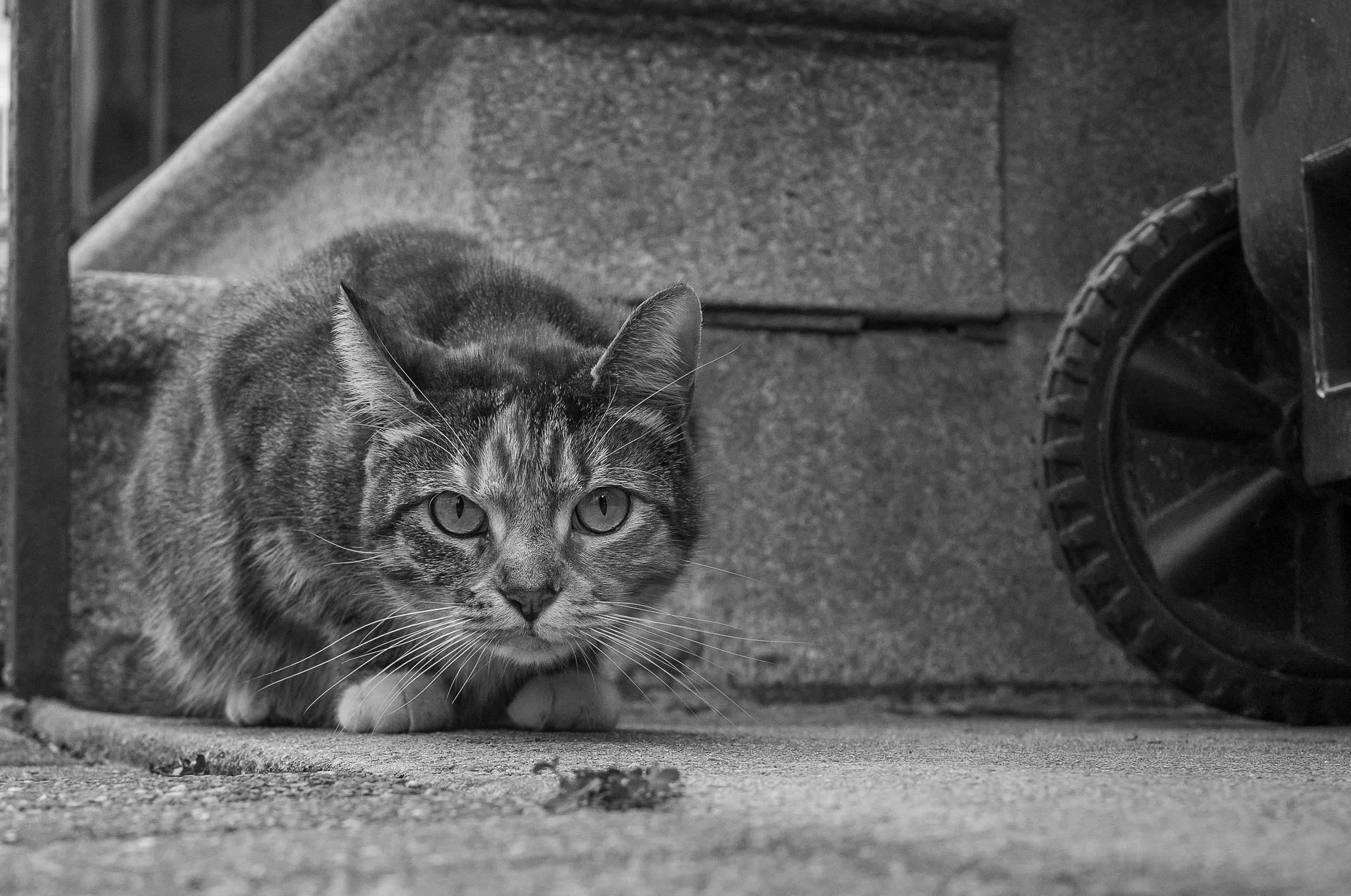 2025_11_05-Wilmington 50289.jpg