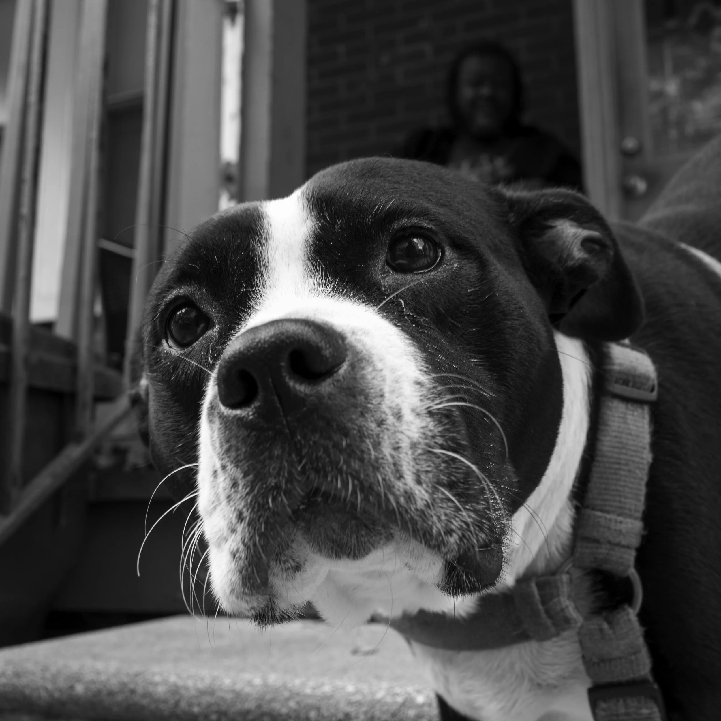 2025_09_11-Wilmington 48541.jpg