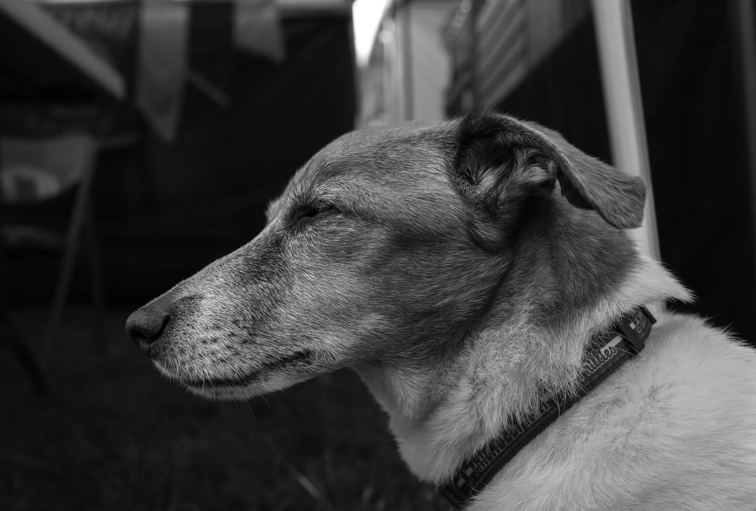 2025_09_27-Wilmington 49047.jpg