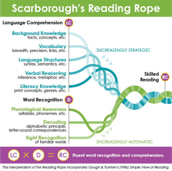 Structured Literacy and the Reading Rope: Why Every Strand Matters