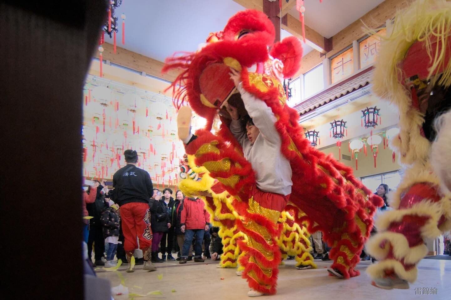 BIRTHDAY TWINS👯‍♀️!
Happy Birthday to Eric & Vivian🎂Thankful for your endless hard work and love for the team🫶🏻
.
#jingwo #jingwoyyc #calgarybuzz #уус
#chineseliondance #chinese #dragondance #yycnow #yycliving #calgarylife #calgary #albe