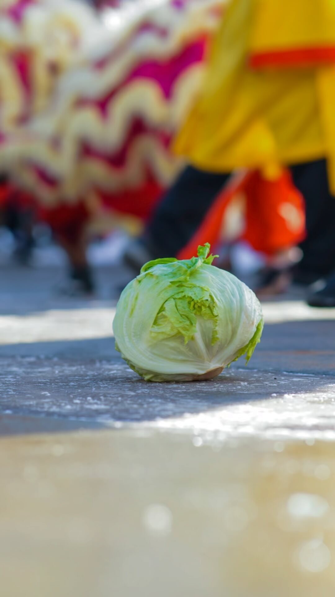 Wait we have insurance for lettuce kicks?🤨
.
#jingwo #jingwoyyc #calgarybuzz #уус
#chineseliondance #chinese #dragondance #yycnow #yycliving #calgarylife #calgary #alberta
#卡加利 #舞獅#精武體育會#精武
#CuriocityCalgary #CalgaryEvents
#LunarNewYear #加拿大舞獅 #Albe