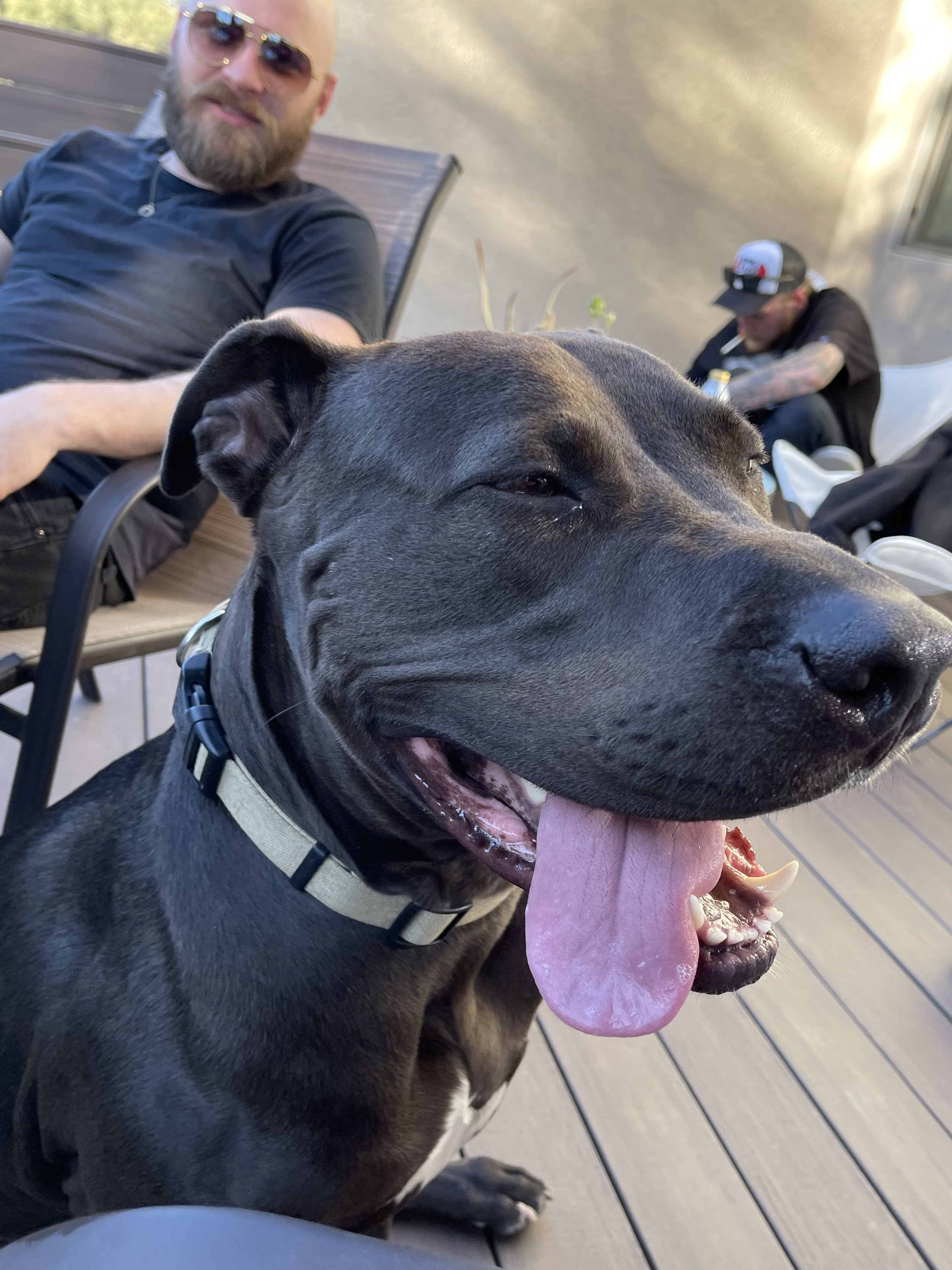 2022-02-07 17.24.22.jpg