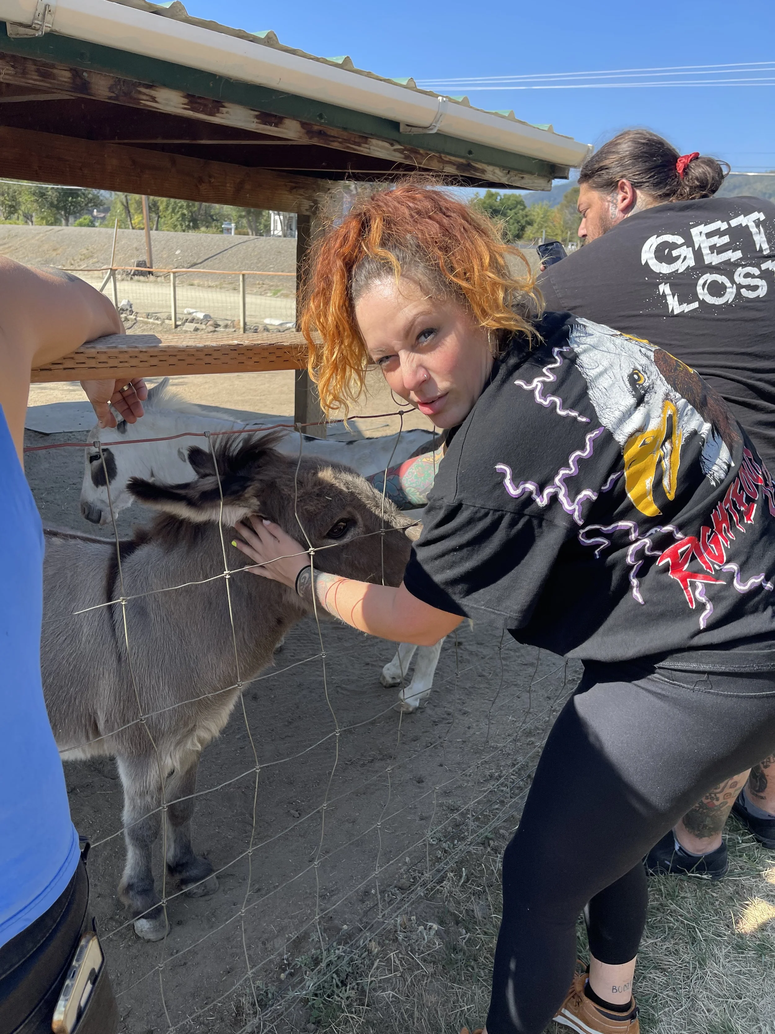 2022-09-06 12.18.26.jpg