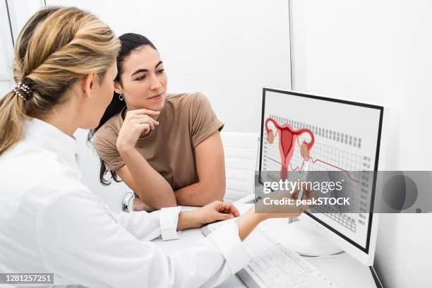 A Comprehensive Guide to the Menstrual Cycle