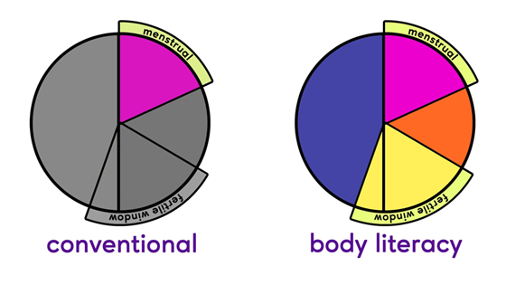 Conventional understanding versus body literacy. Conventional is just aware of menstrual period, not the rest of cycle