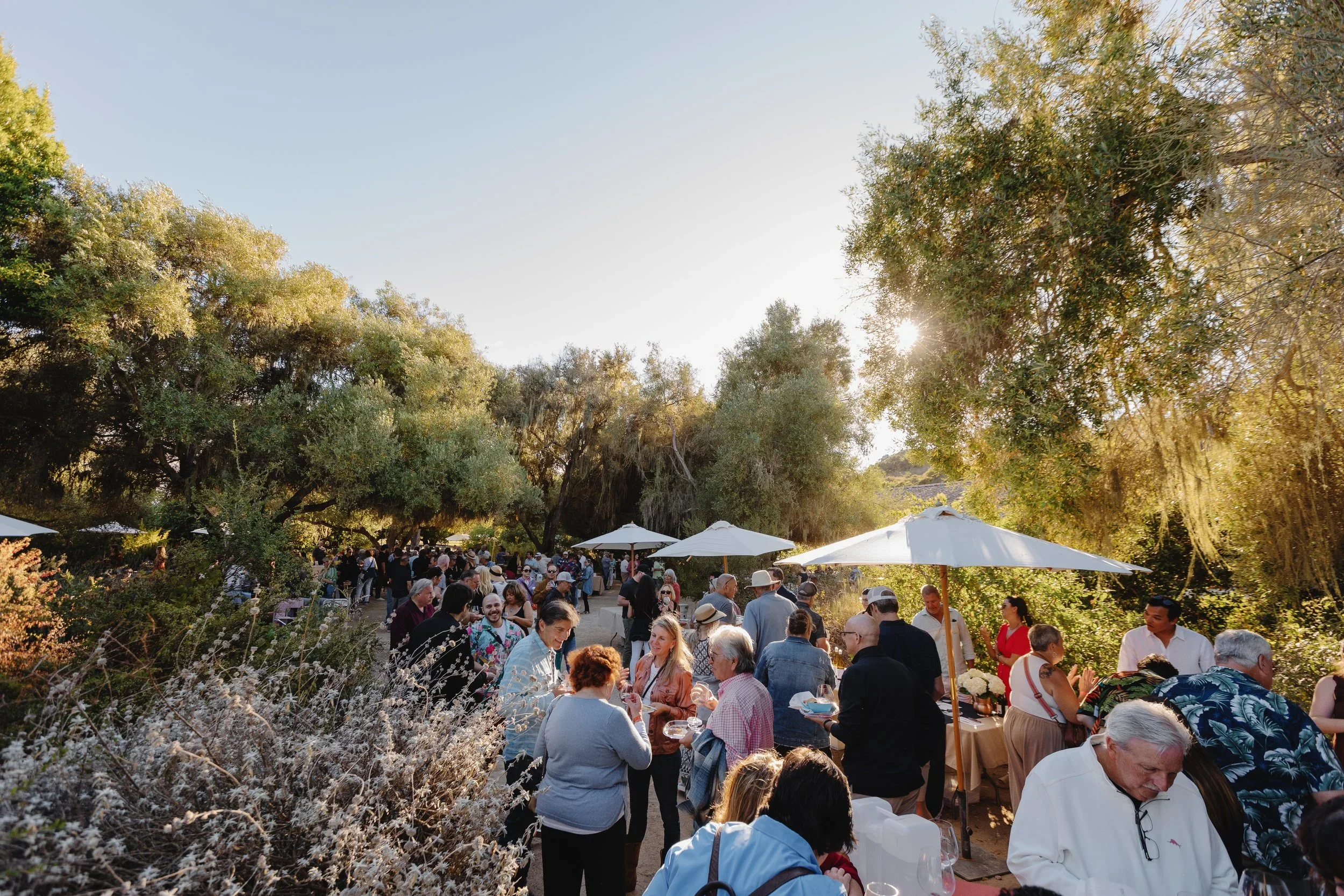 Santa Barbara Wine &amp; Fire On the Road