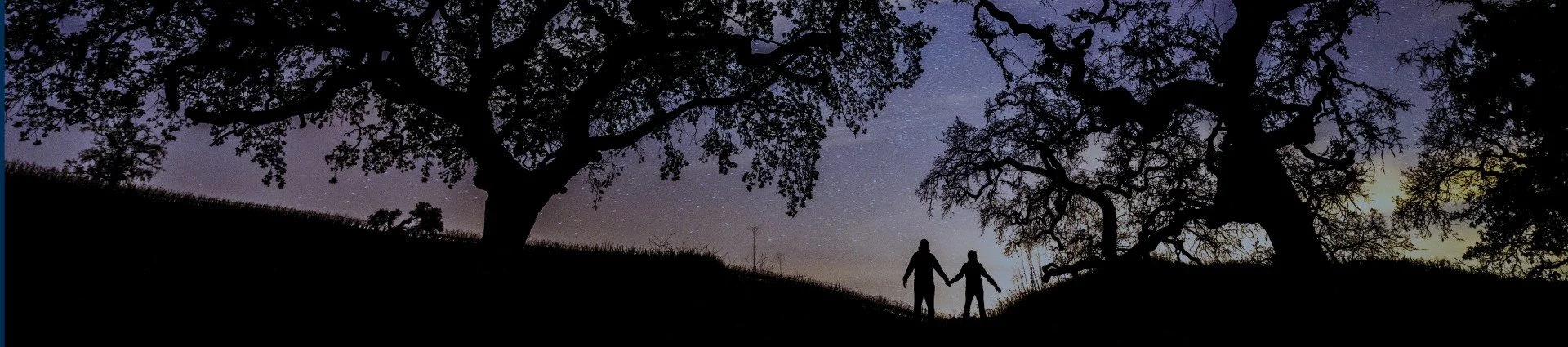 One Shining Night Gala