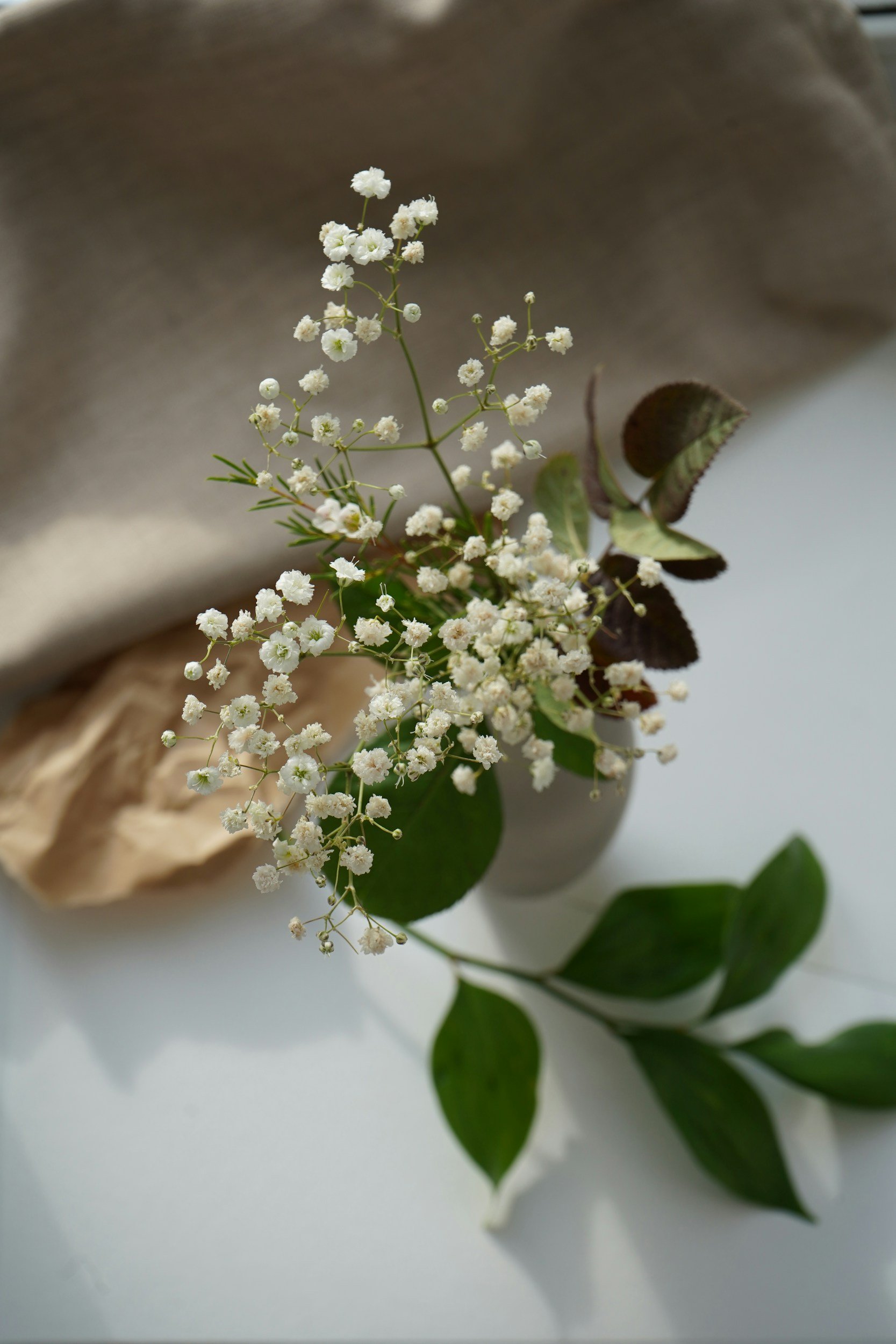 Solvang First Friday - February