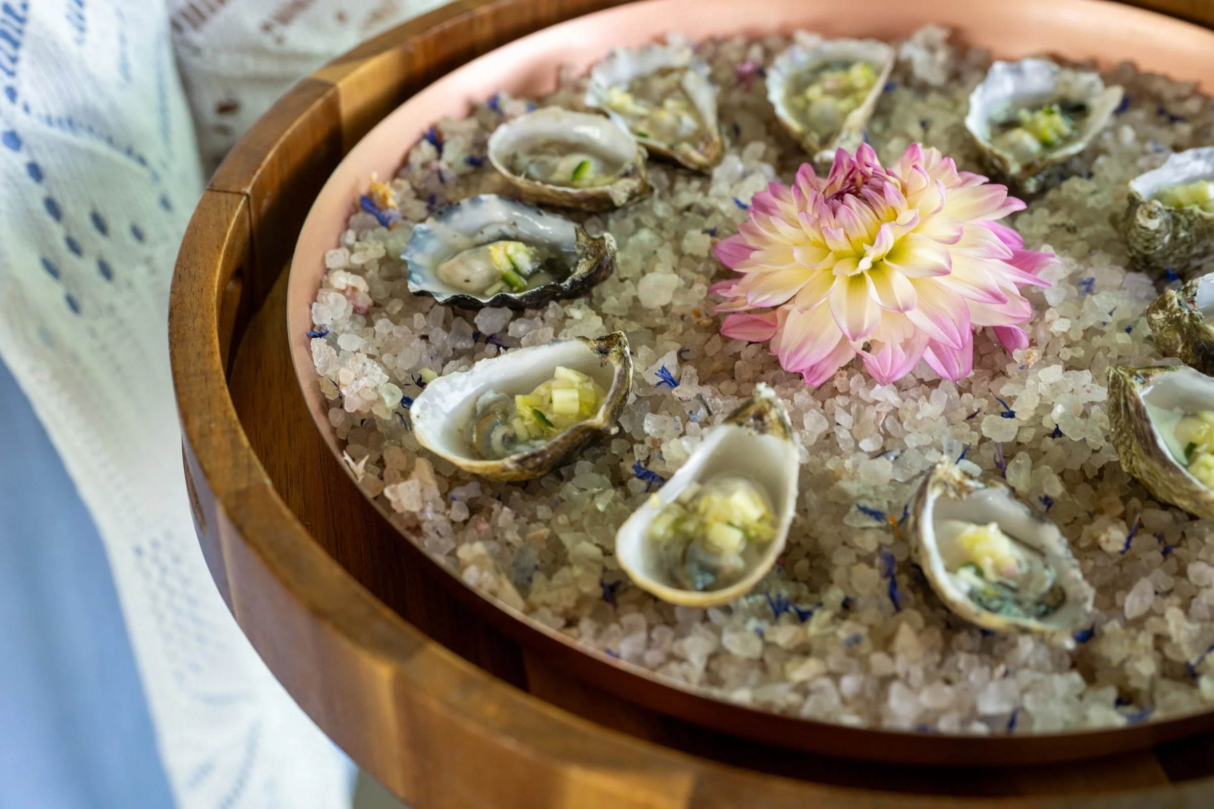 2026_Alma_Rosa_Dinner_090.jpg