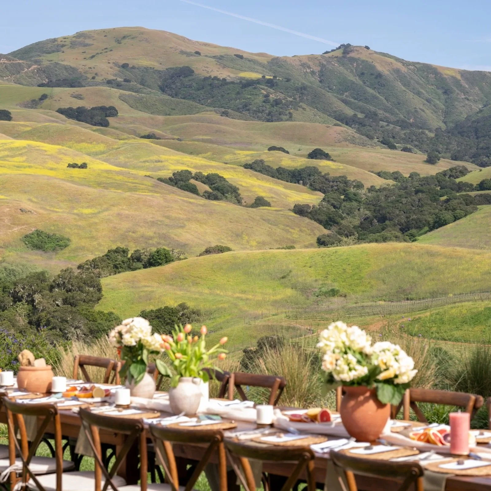2026_Alma_Rosa_Dinner_032.jpg