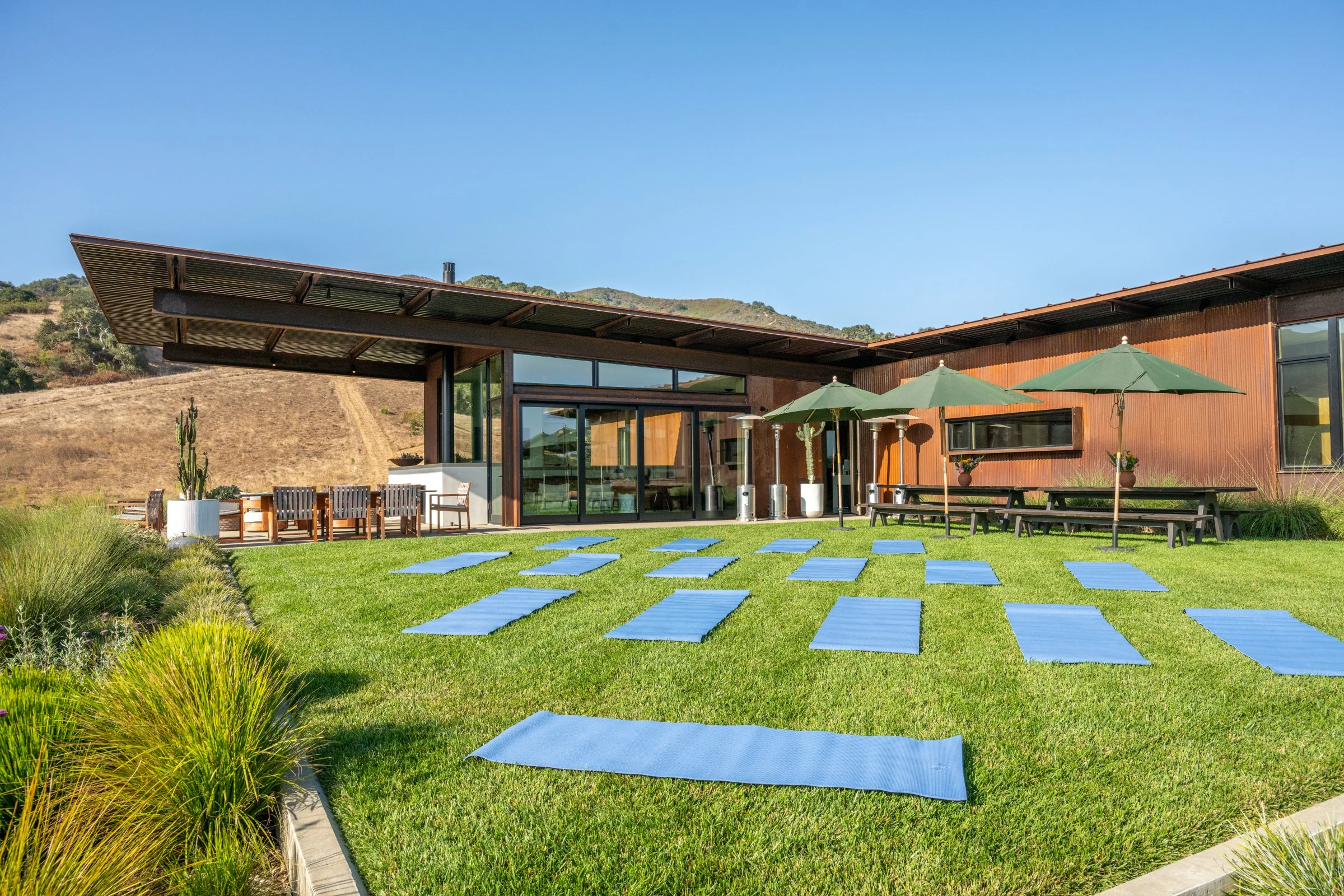 Yoga &amp; Picnic in the Vines - September